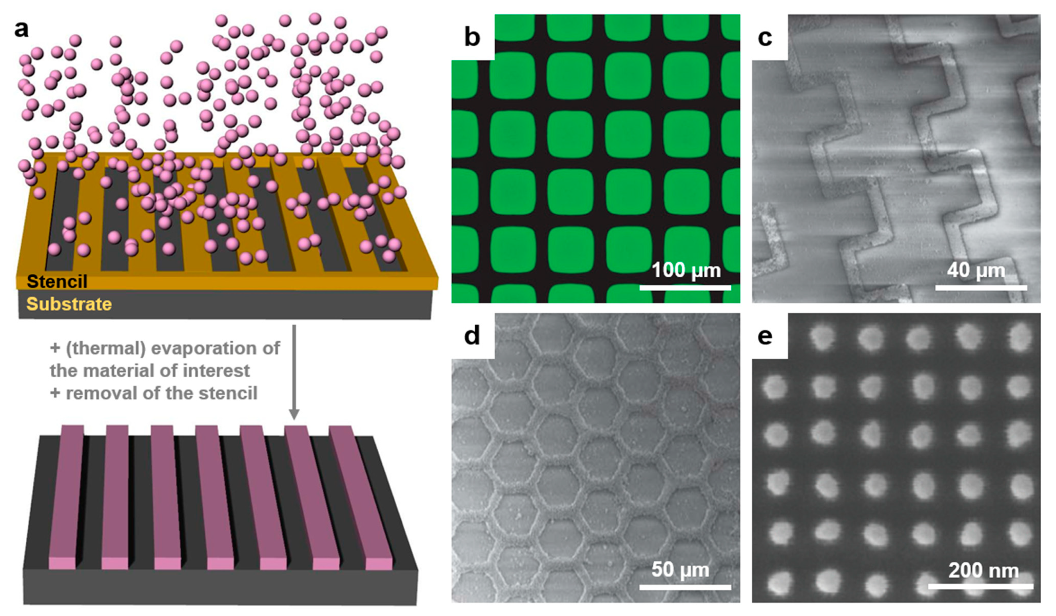 Polymers 13 00445 g011