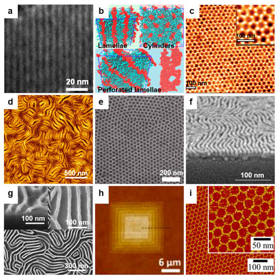 Polymers 13 00445 g012