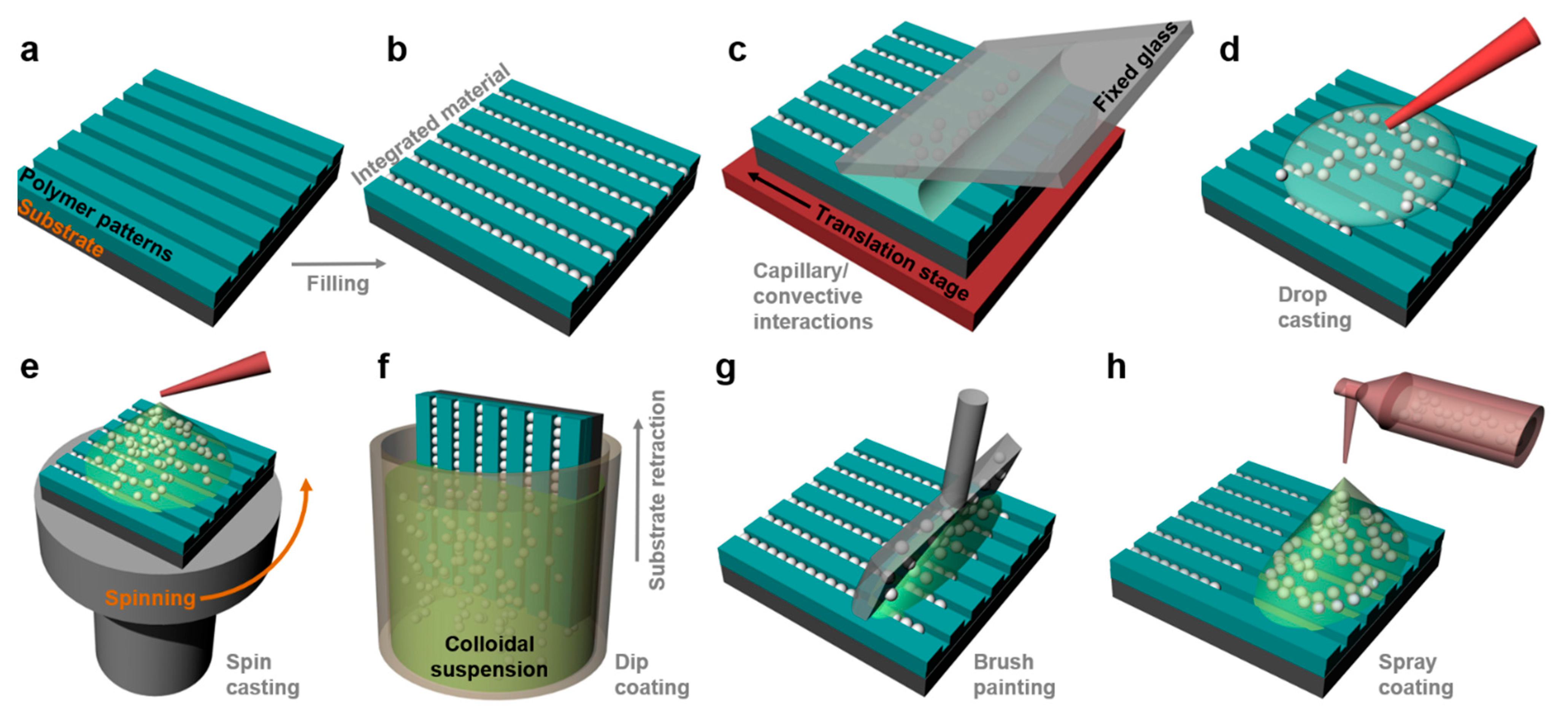 Polymers 13 00445 g014