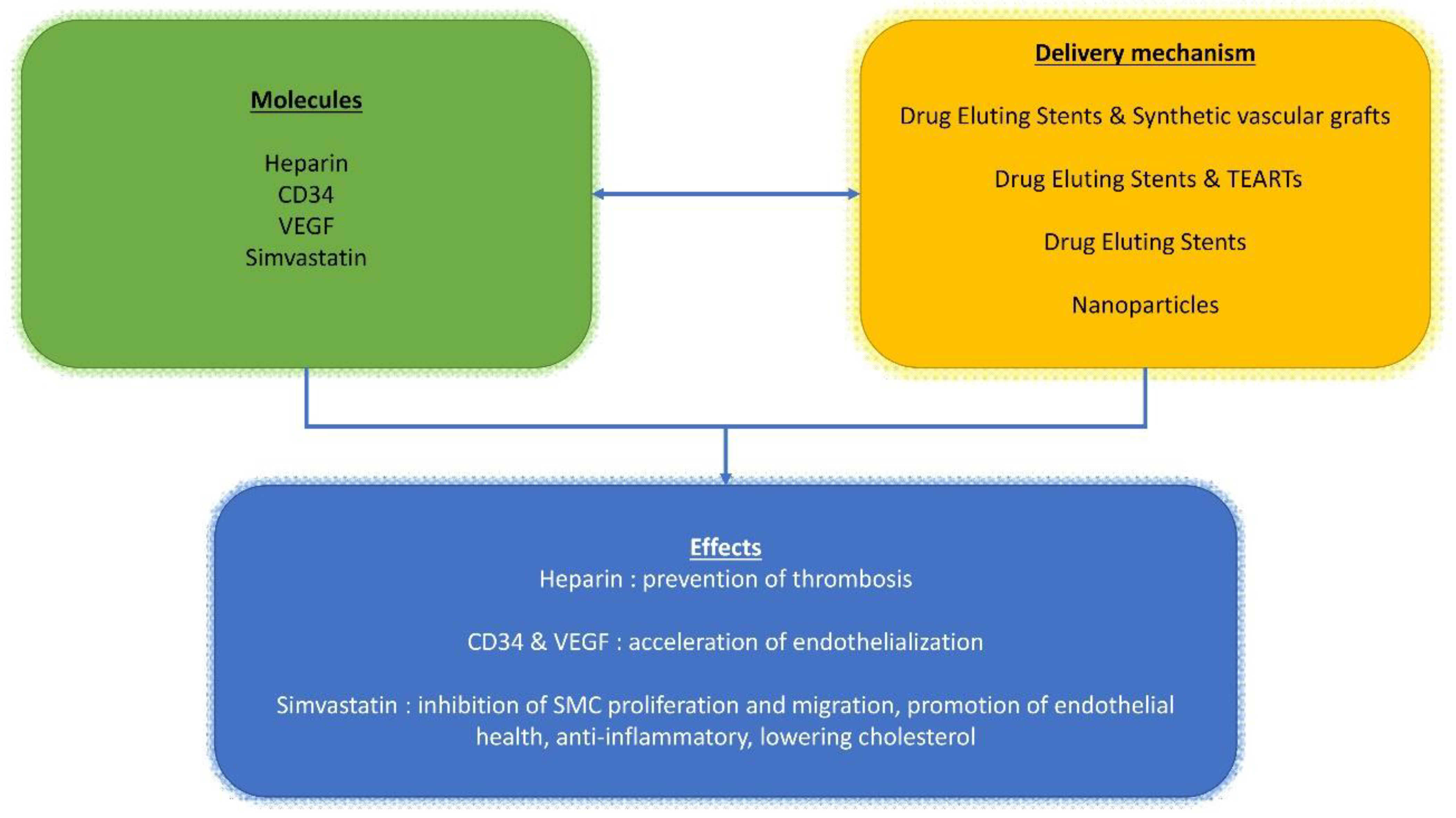 Polymers 13 00446 g002