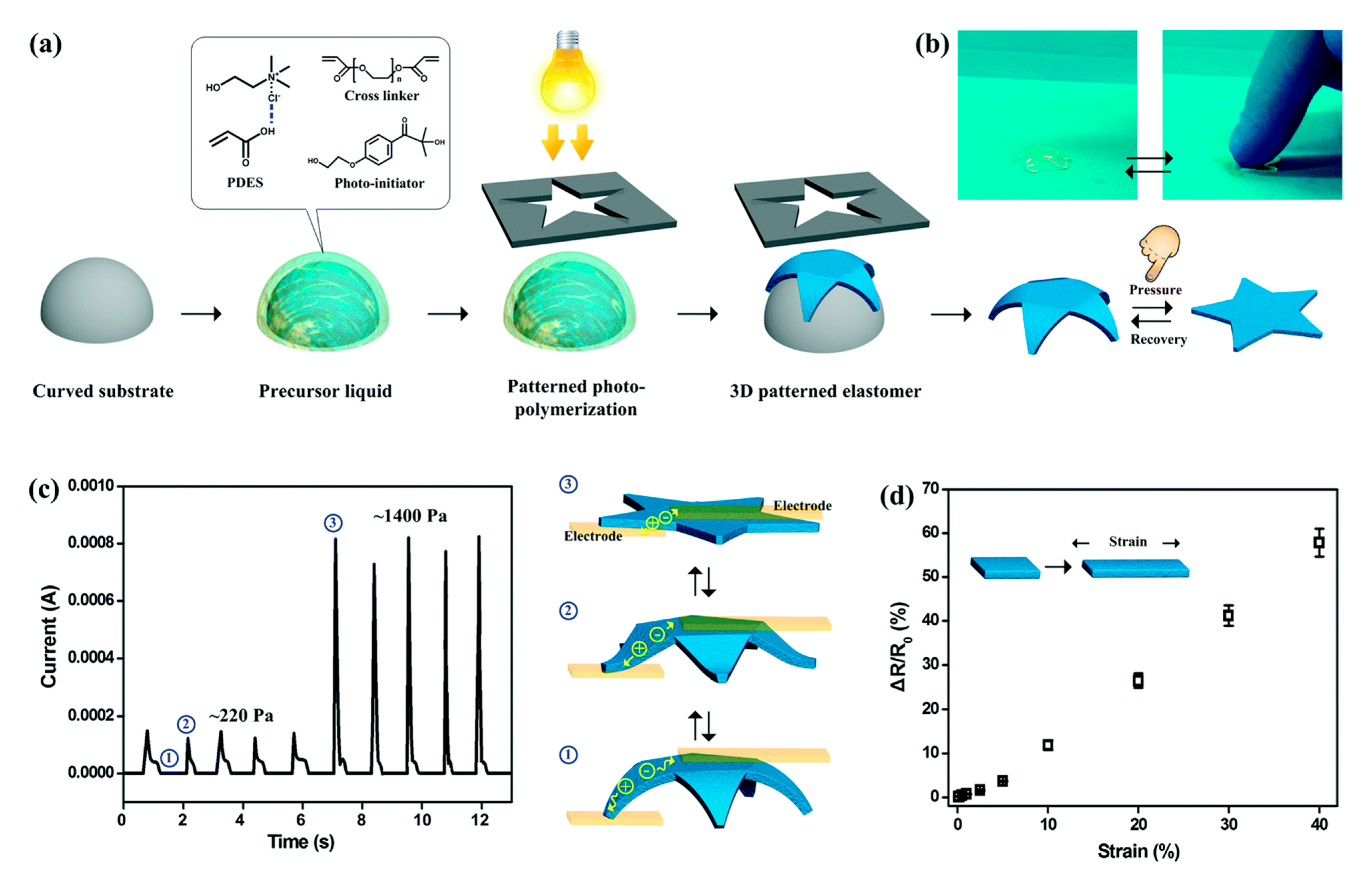 Polymers 13 00447 g003