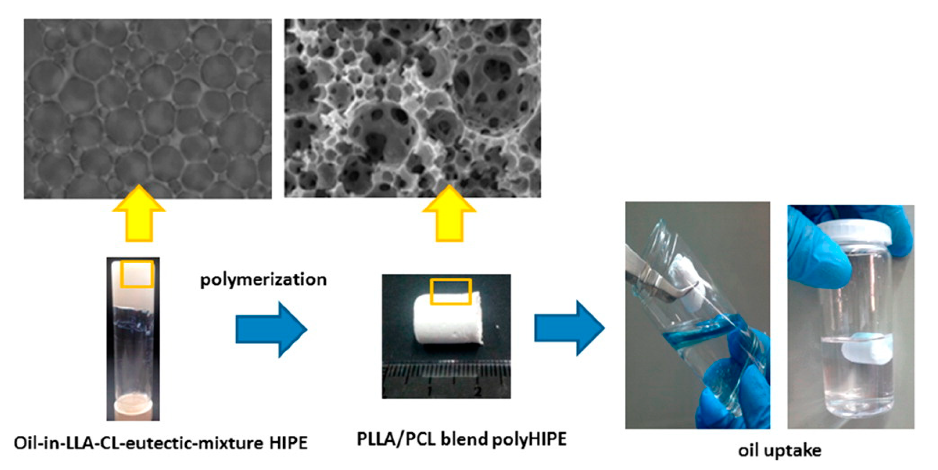 Polymers 13 00447 g009