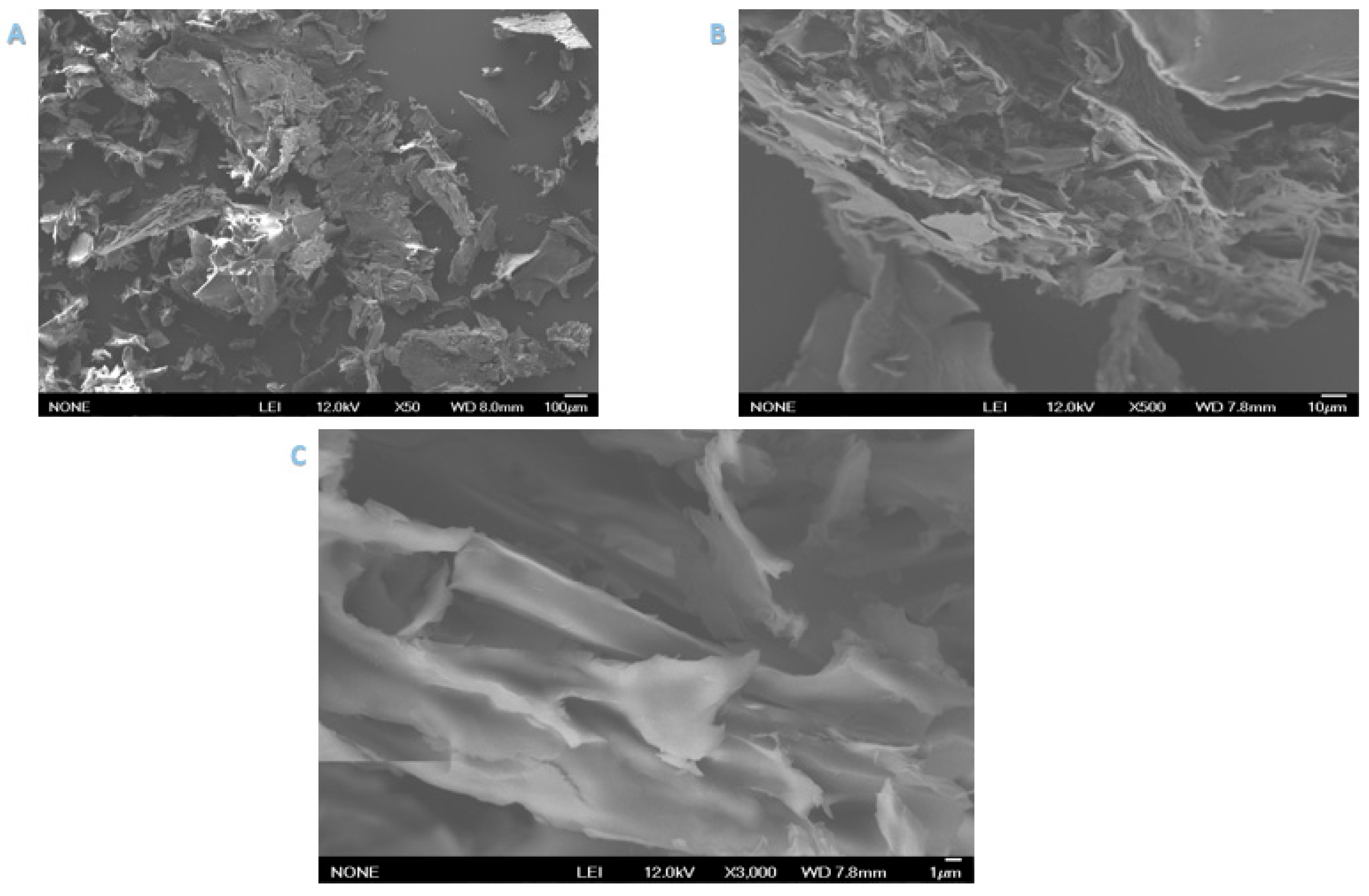 Polymers 13 00450 g002