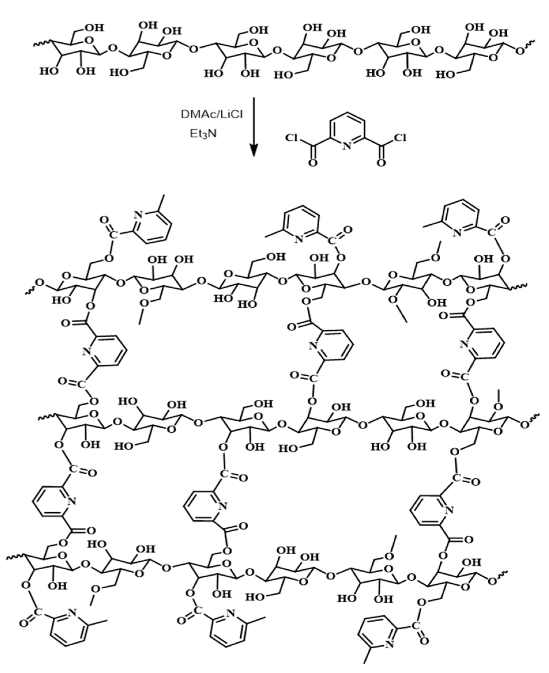 Polymers 13 00450 sch002