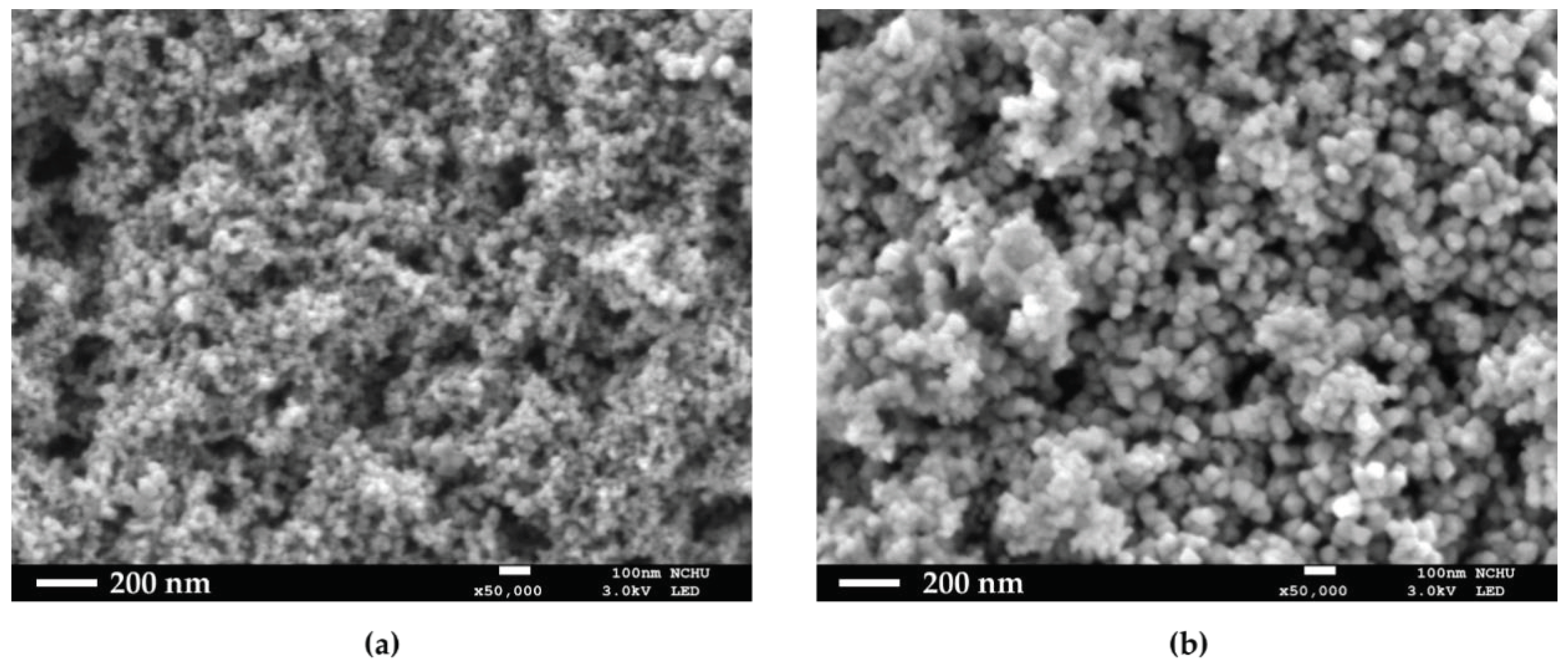 Polymers 13 00451 g001