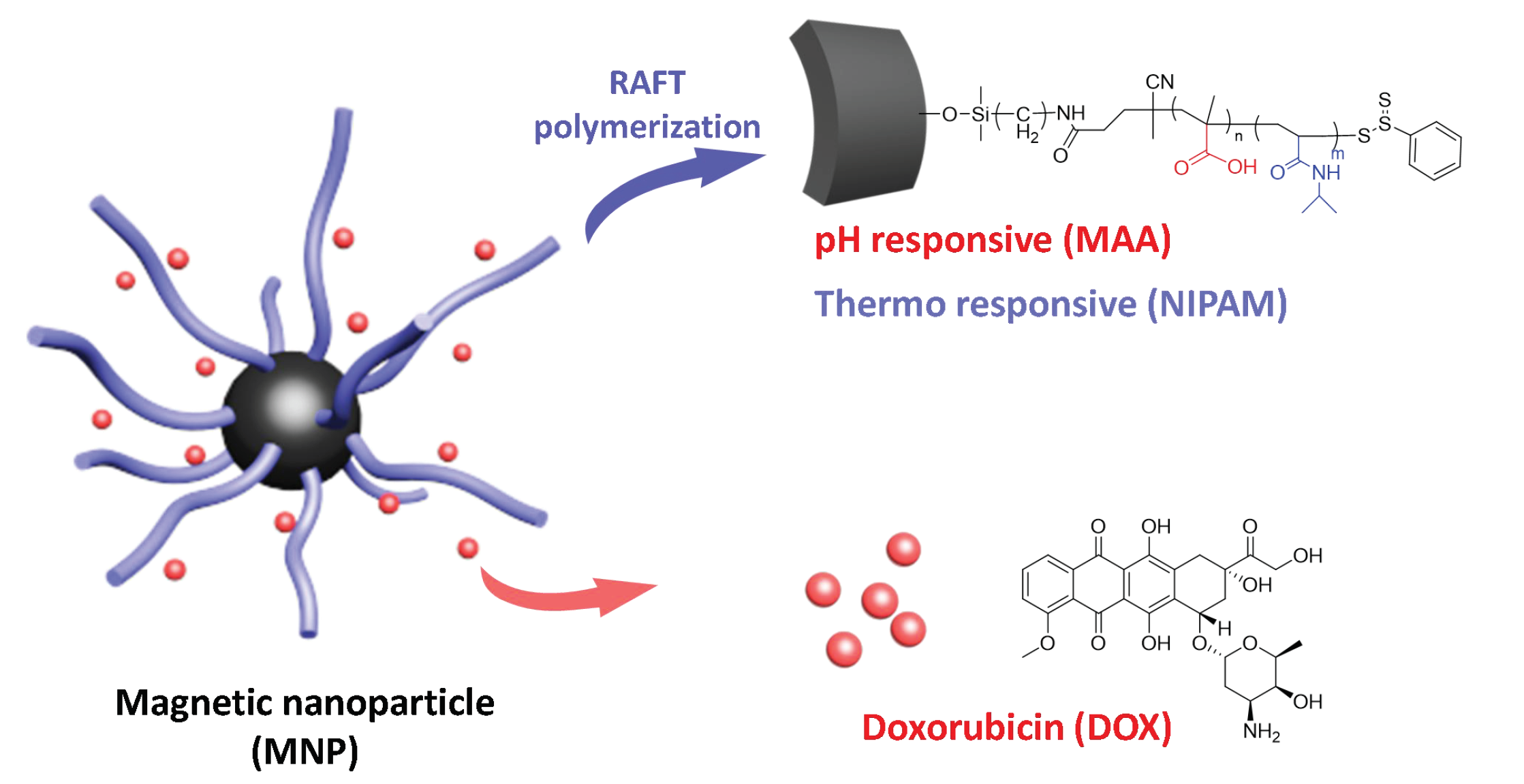 Polymers 13 00451 sch001