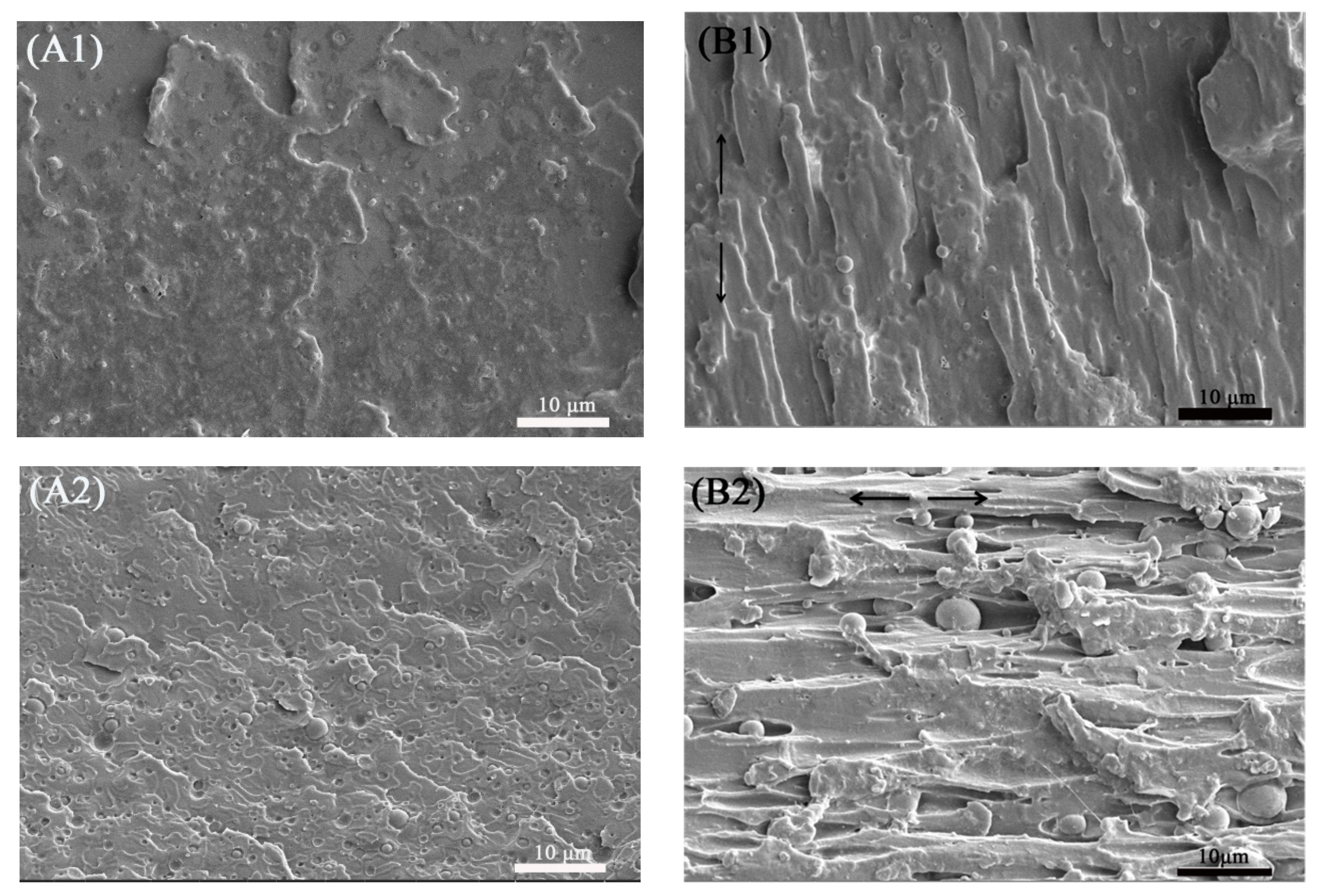Polymers 13 00452 g003a