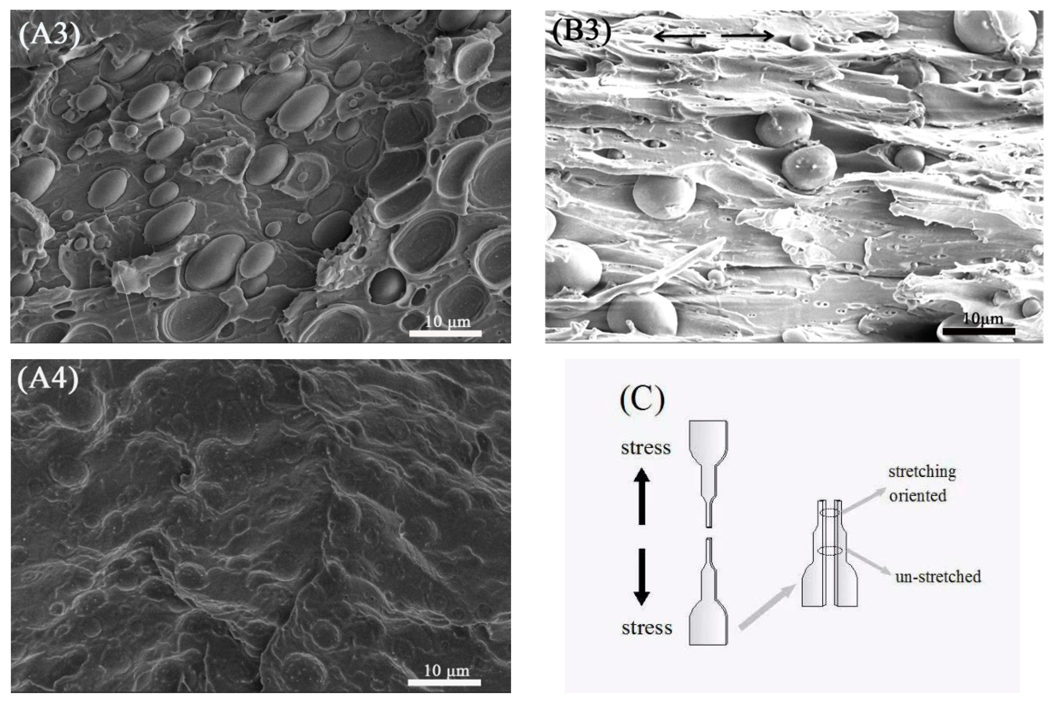 Polymers 13 00452 g003b