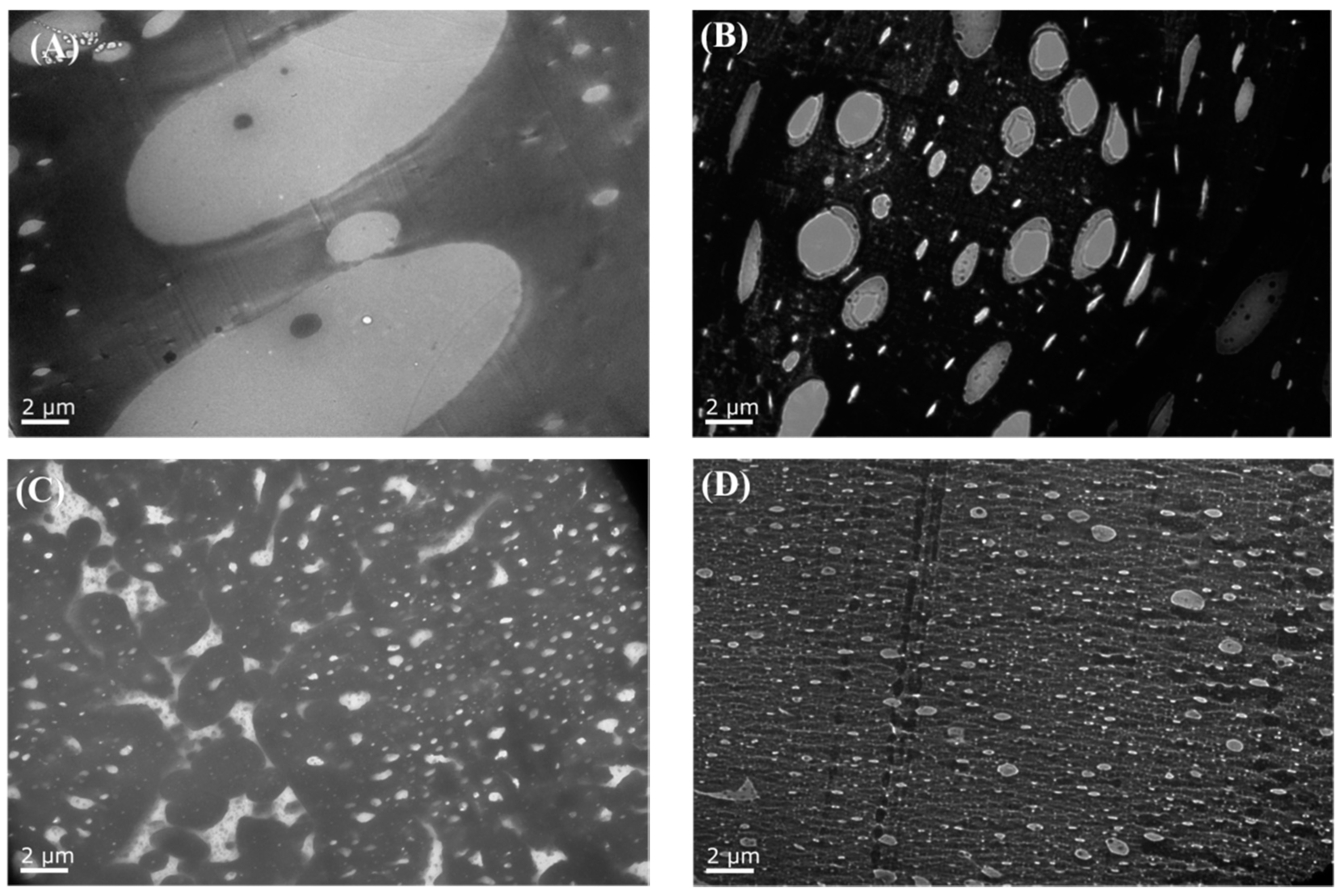 Polymers 13 00452 g011