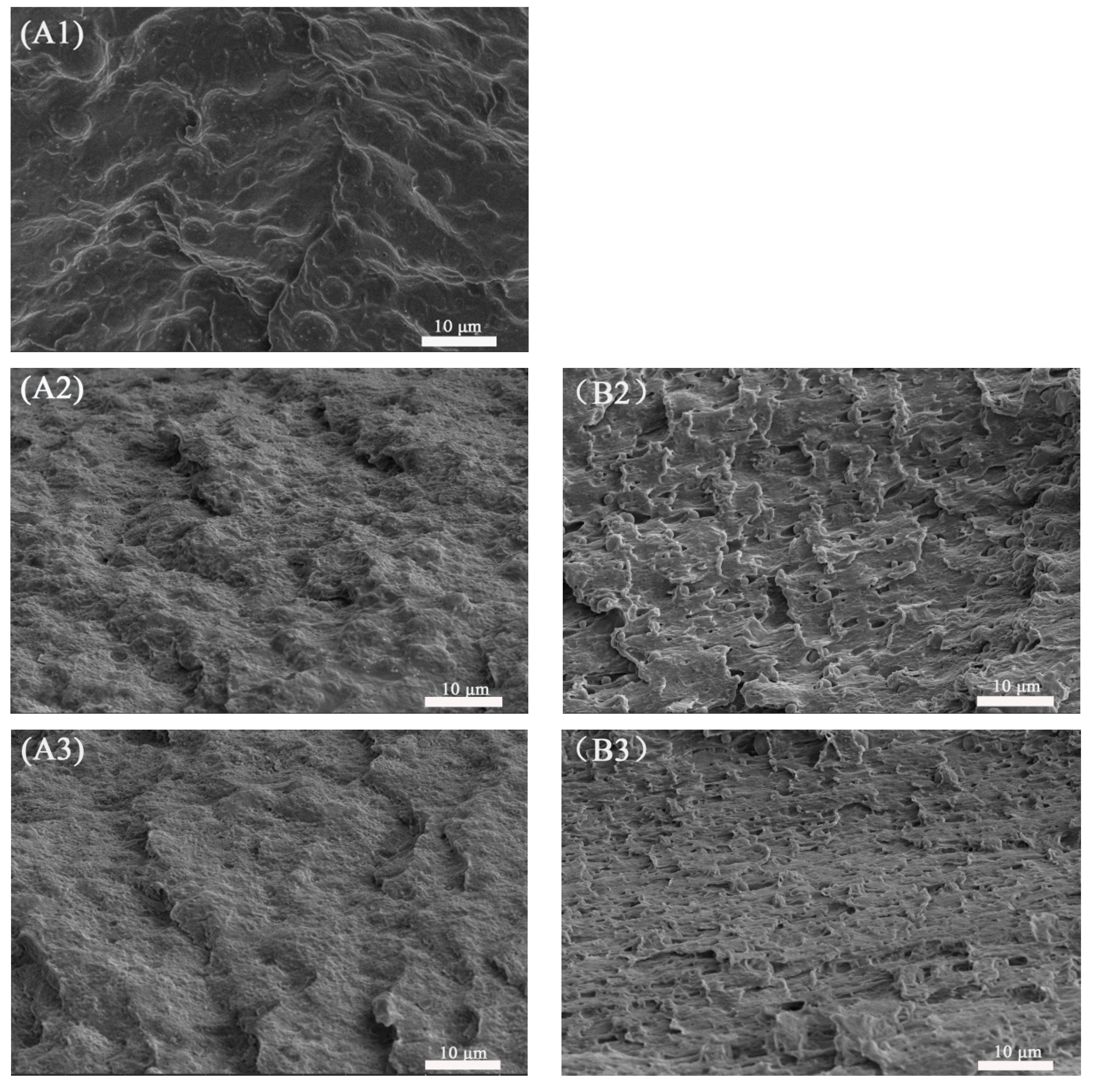 Polymers 13 00452 g013a