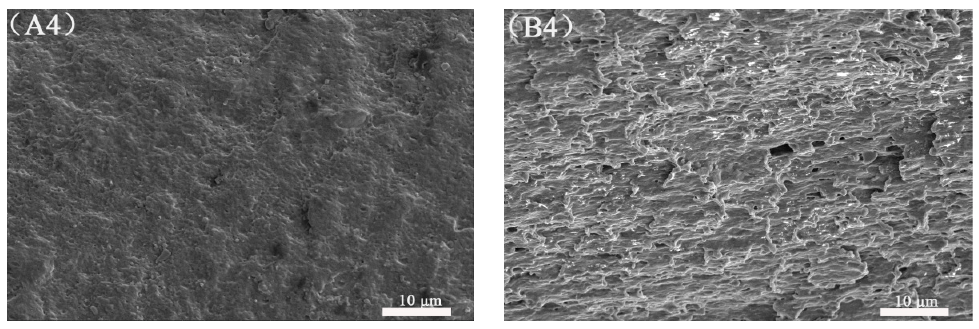 Polymers 13 00452 g013b
