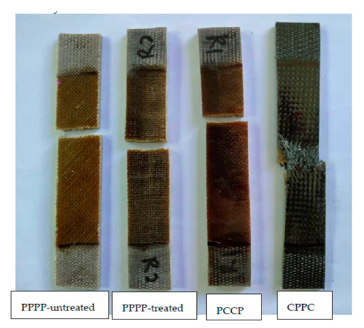 Polymers 13 00455 g006