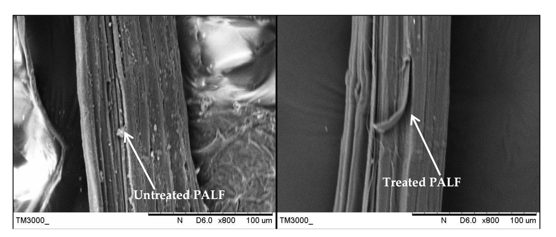 Polymers 13 00455 g007