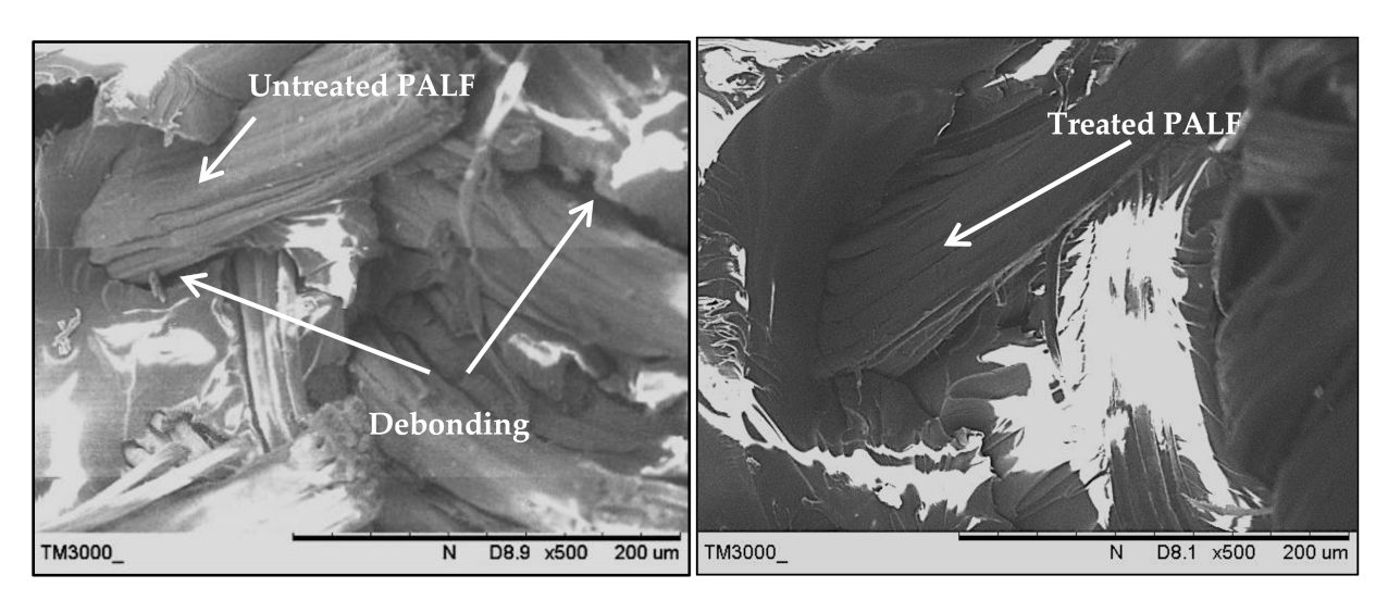 Polymers 13 00455 g008