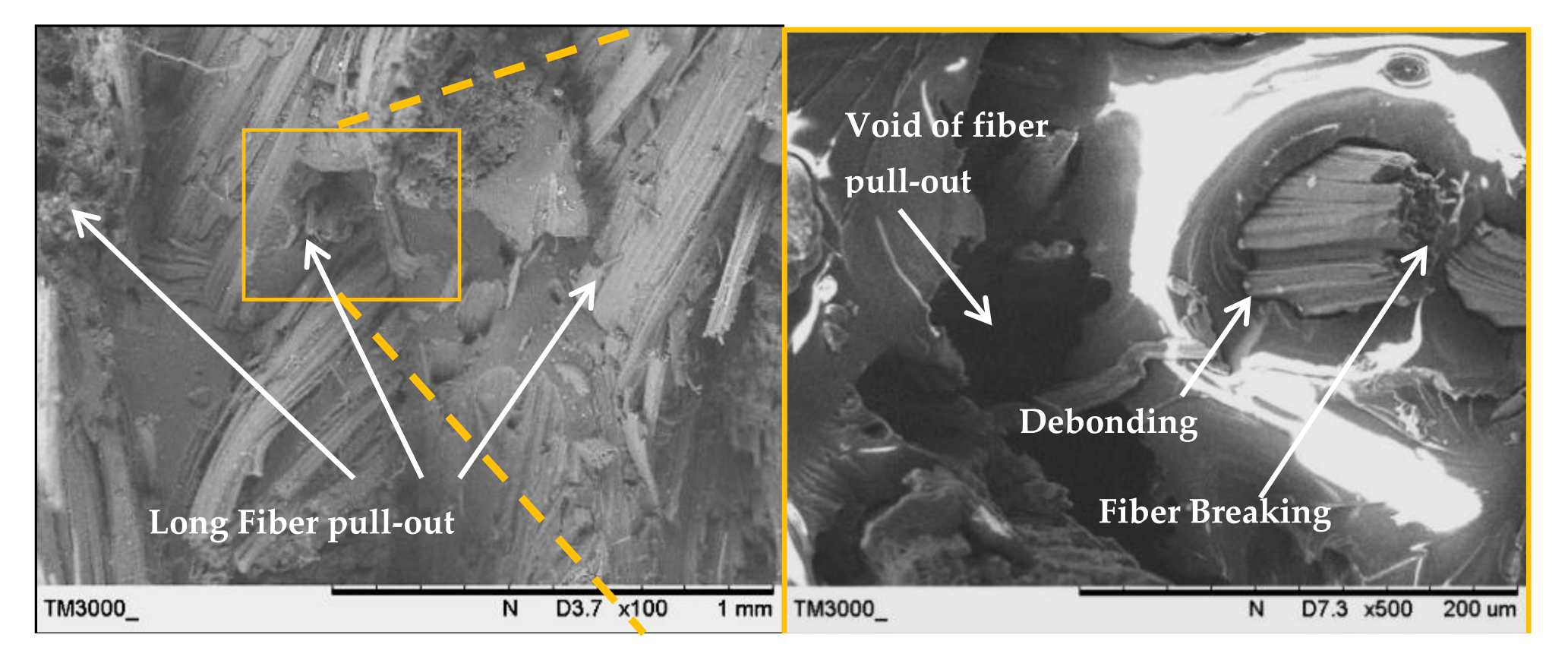 Polymers 13 00455 g009