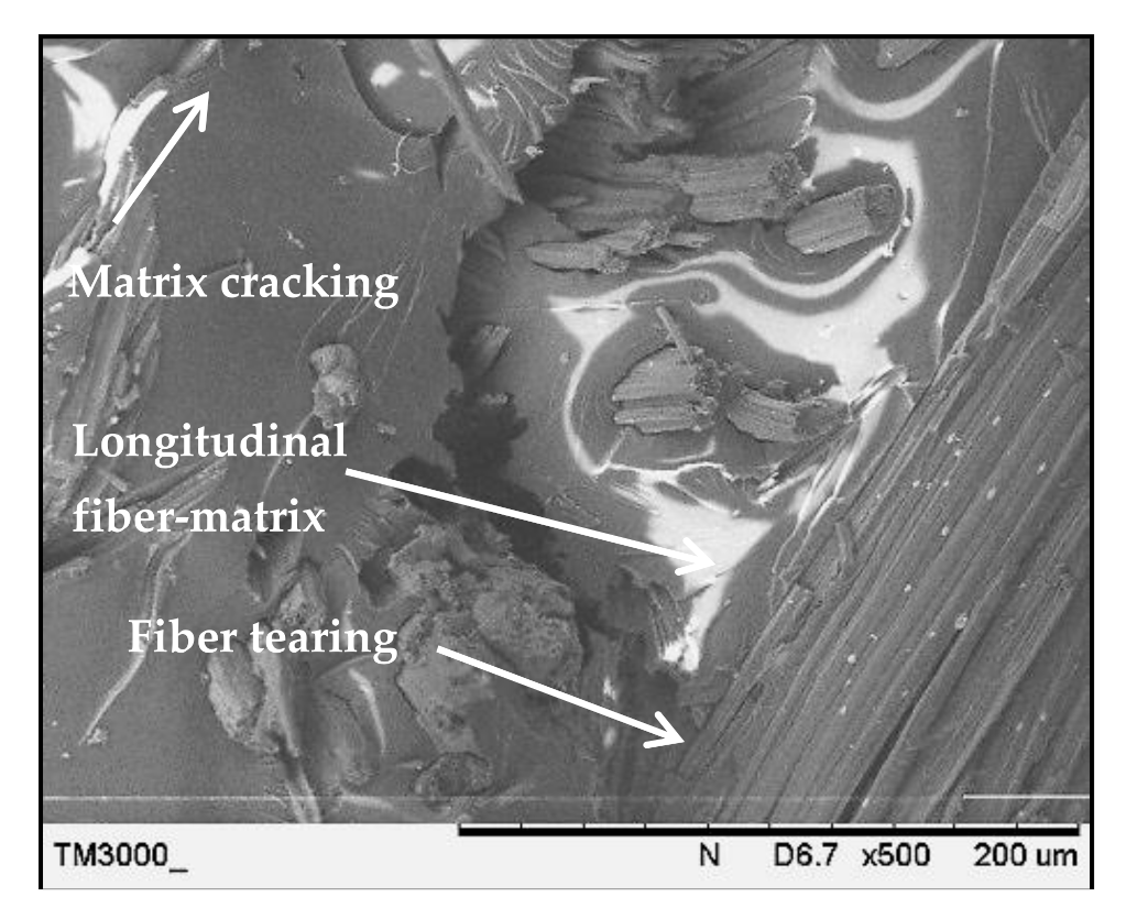 Polymers 13 00455 g010