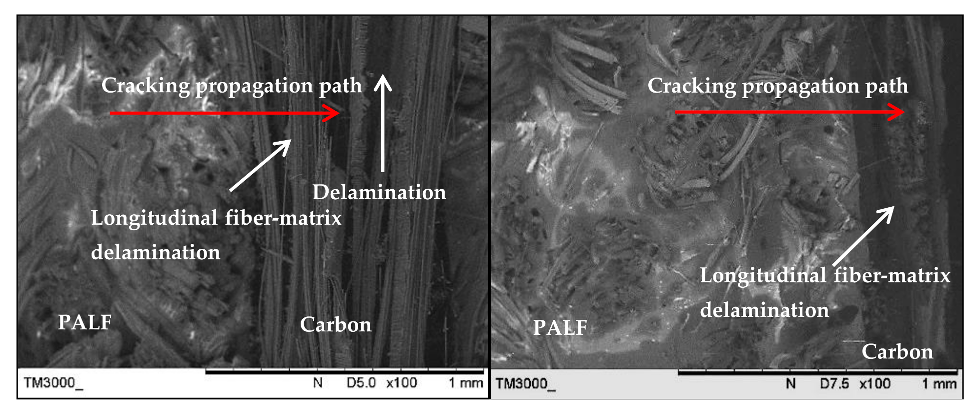 Polymers 13 00455 g011