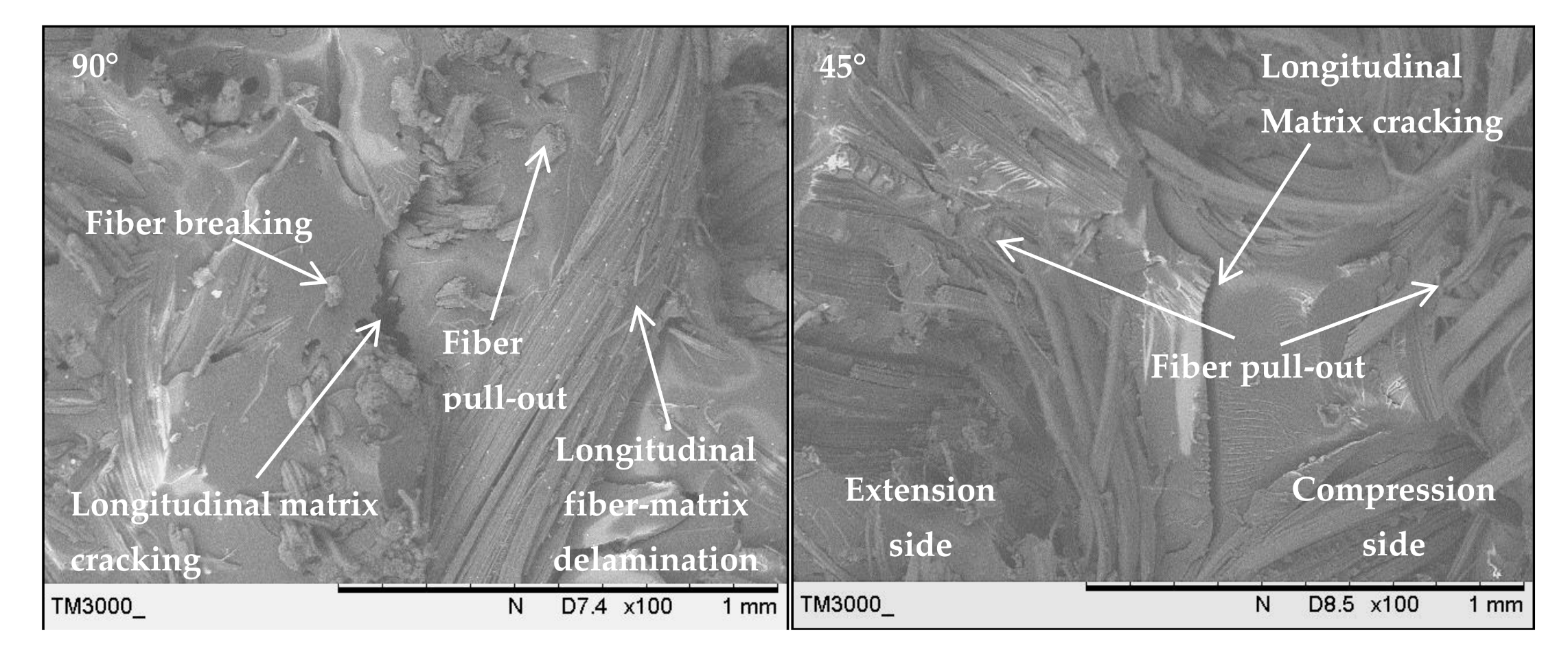 Polymers 13 00455 g013