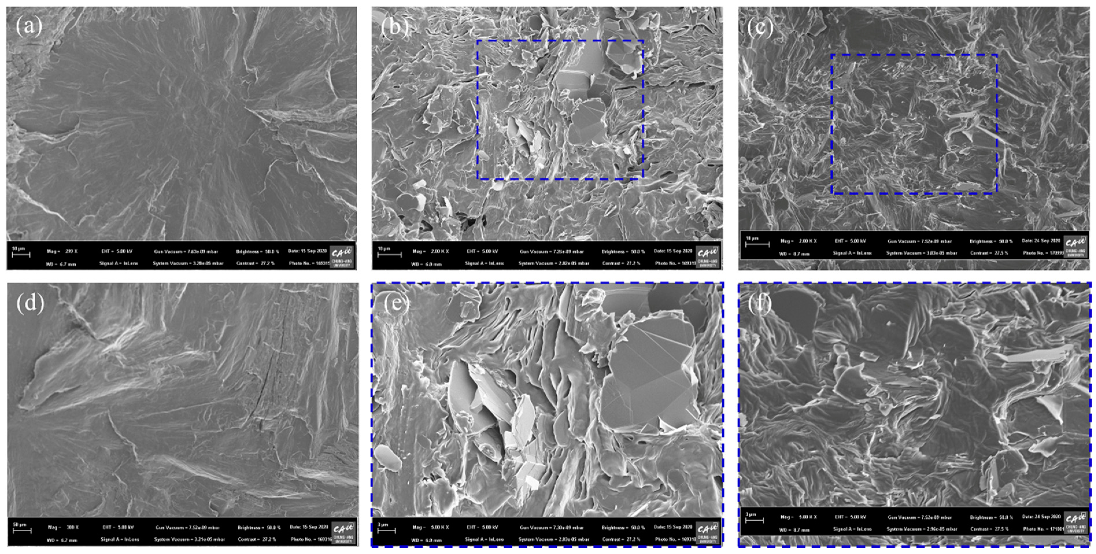 Polymers 13 00456 g005