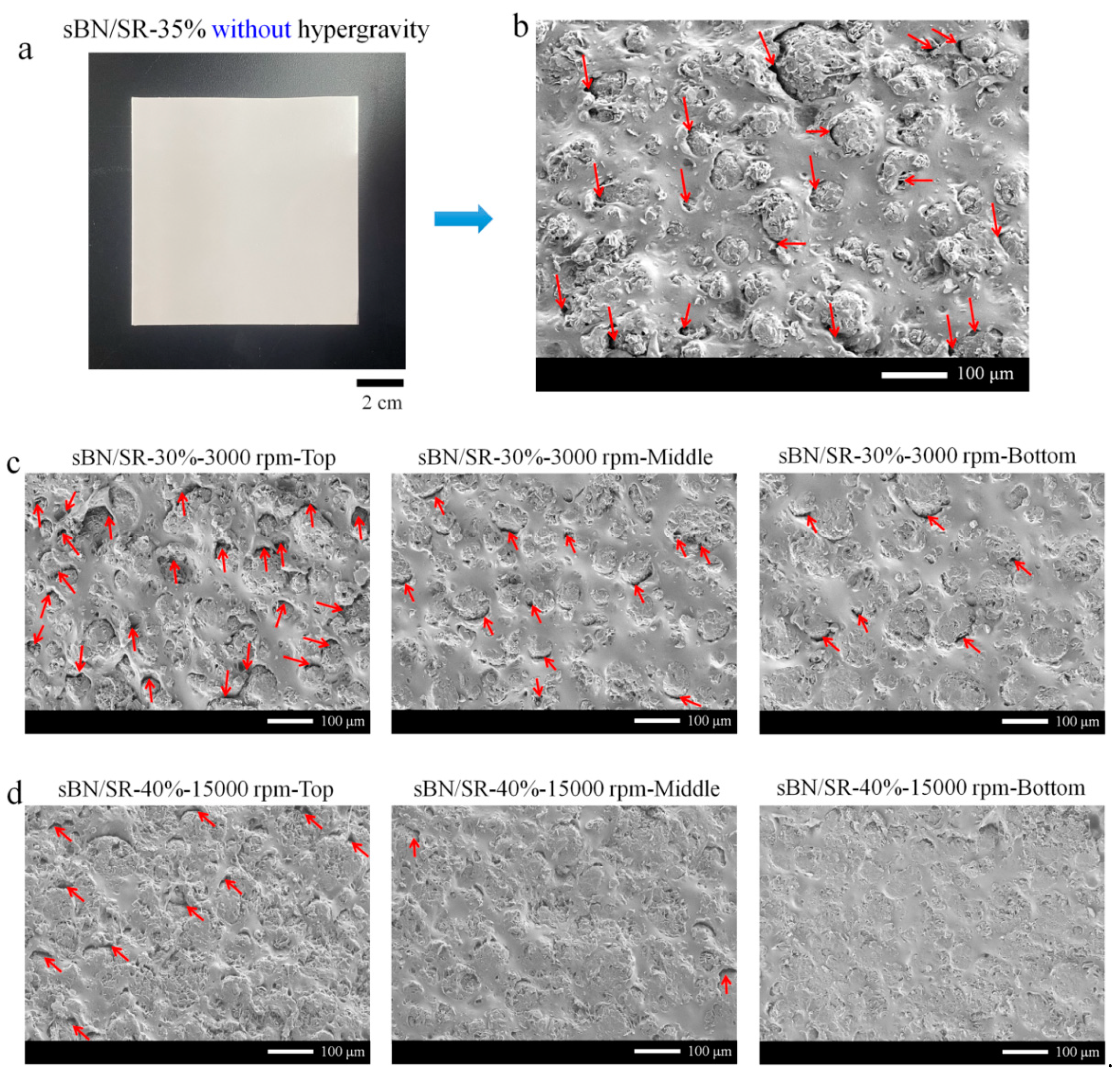 Polymers 13 00459 g004