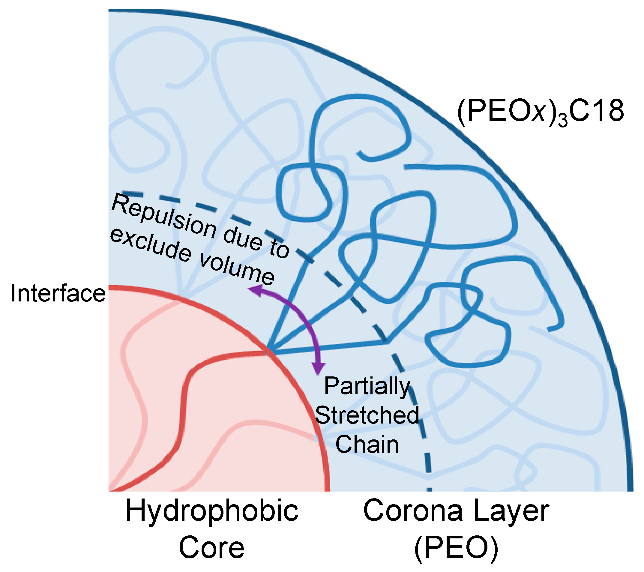 Polymers 13 00460 g006