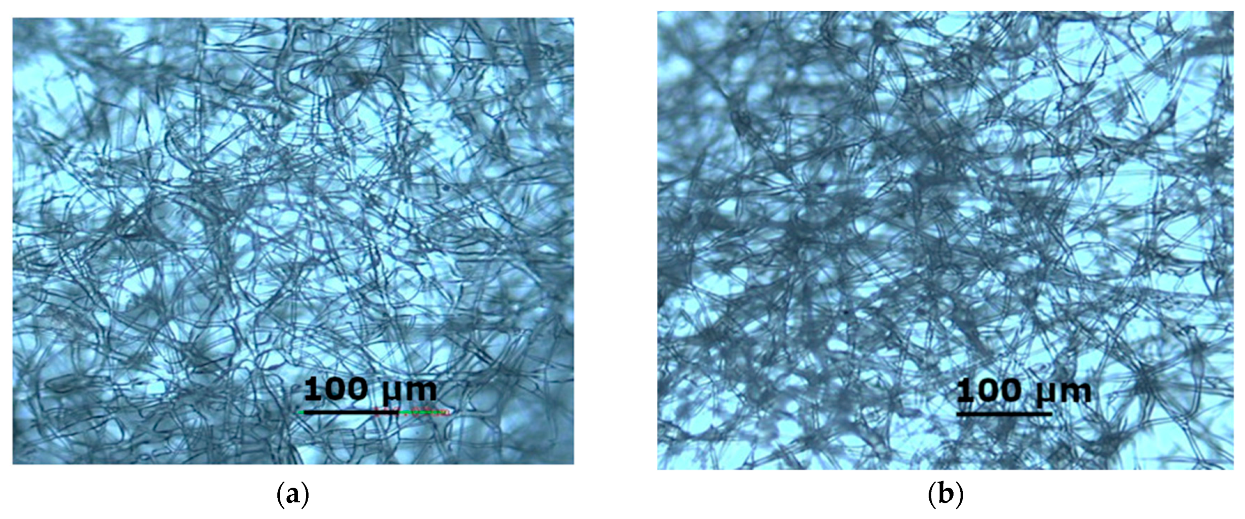 Polymers 13 00461 g001