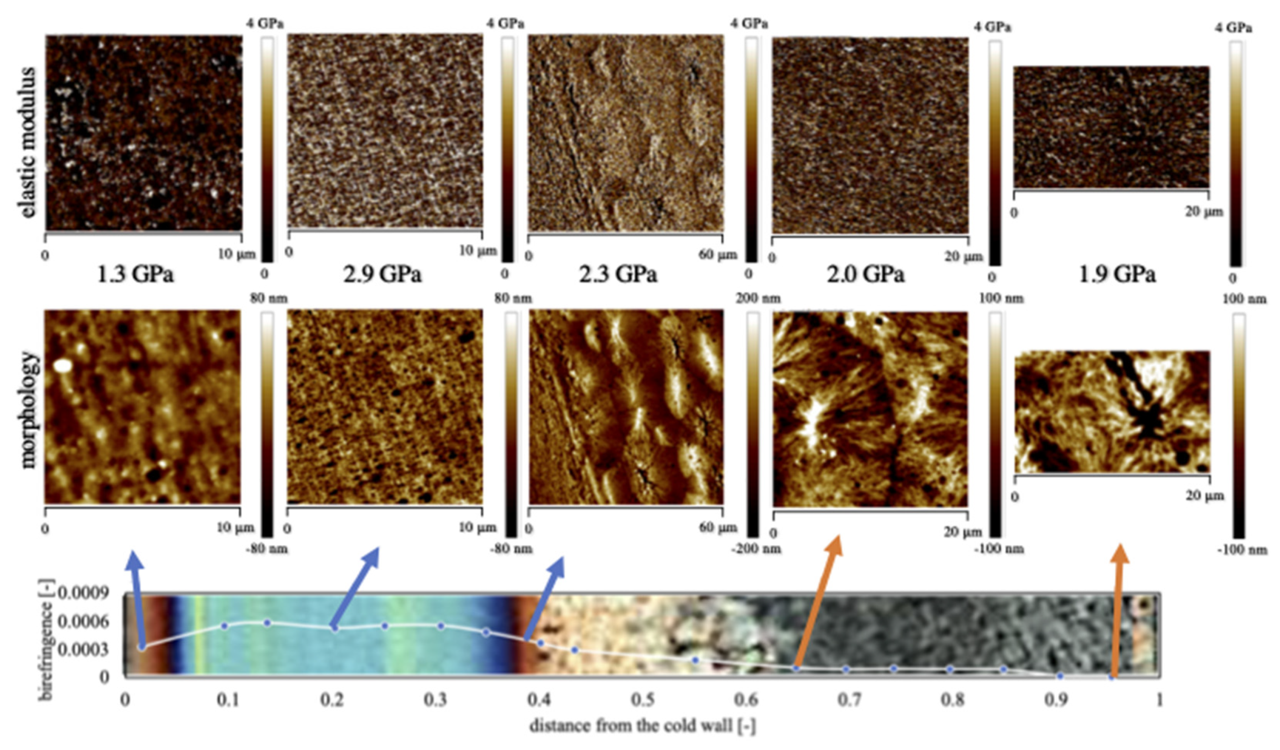 Polymers 13 00462 g004