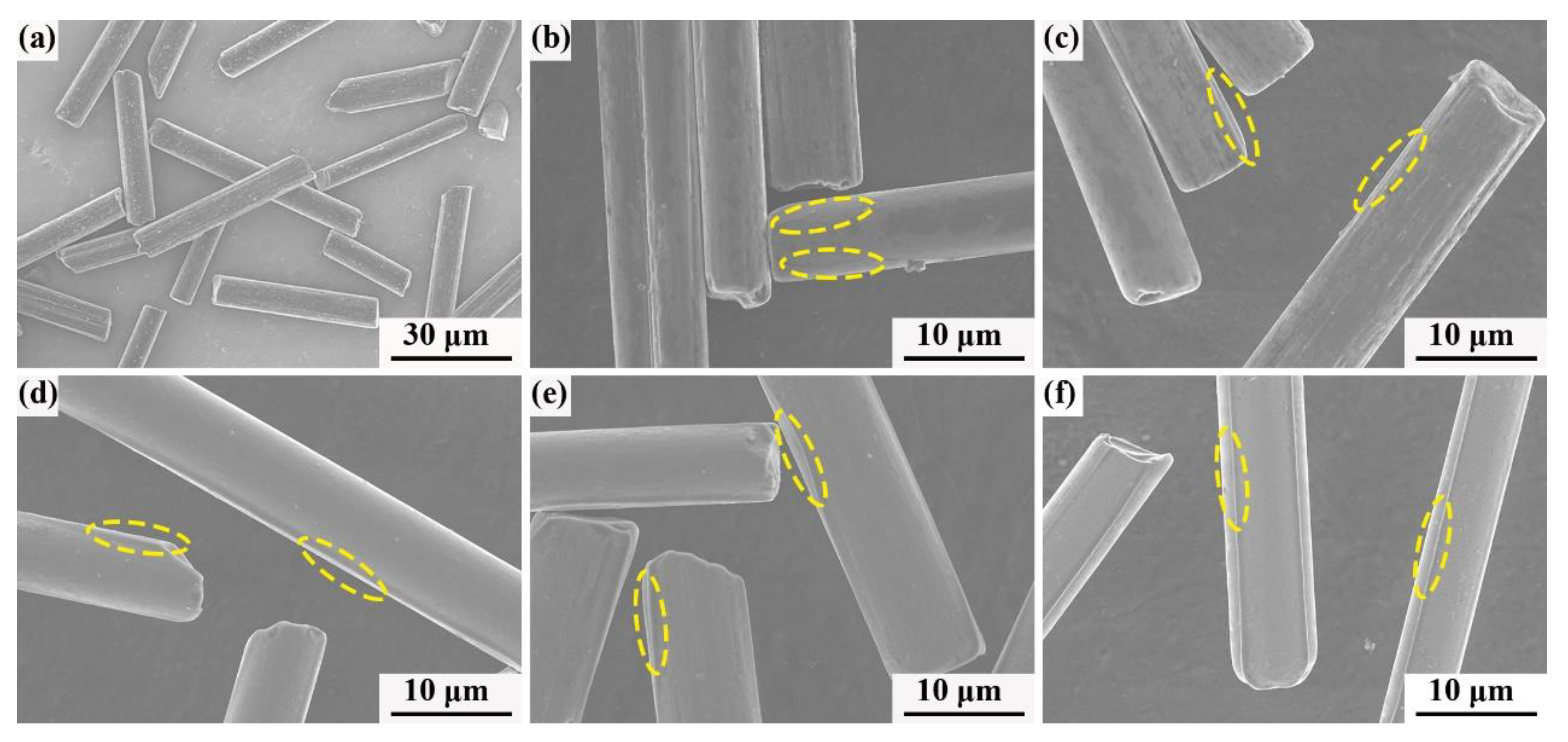Polymers 13 00463 g007