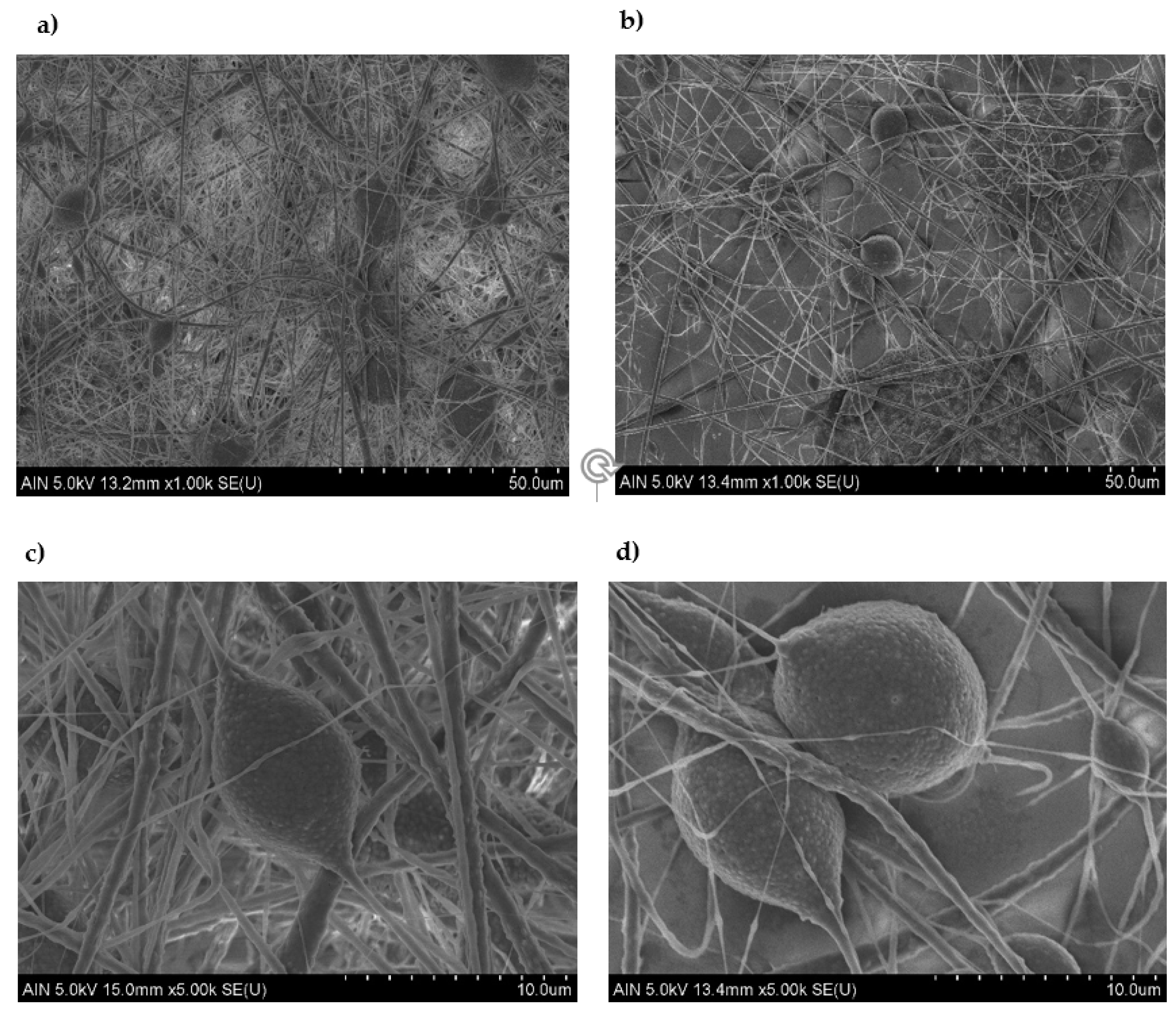 Polymers 13 00464 g006