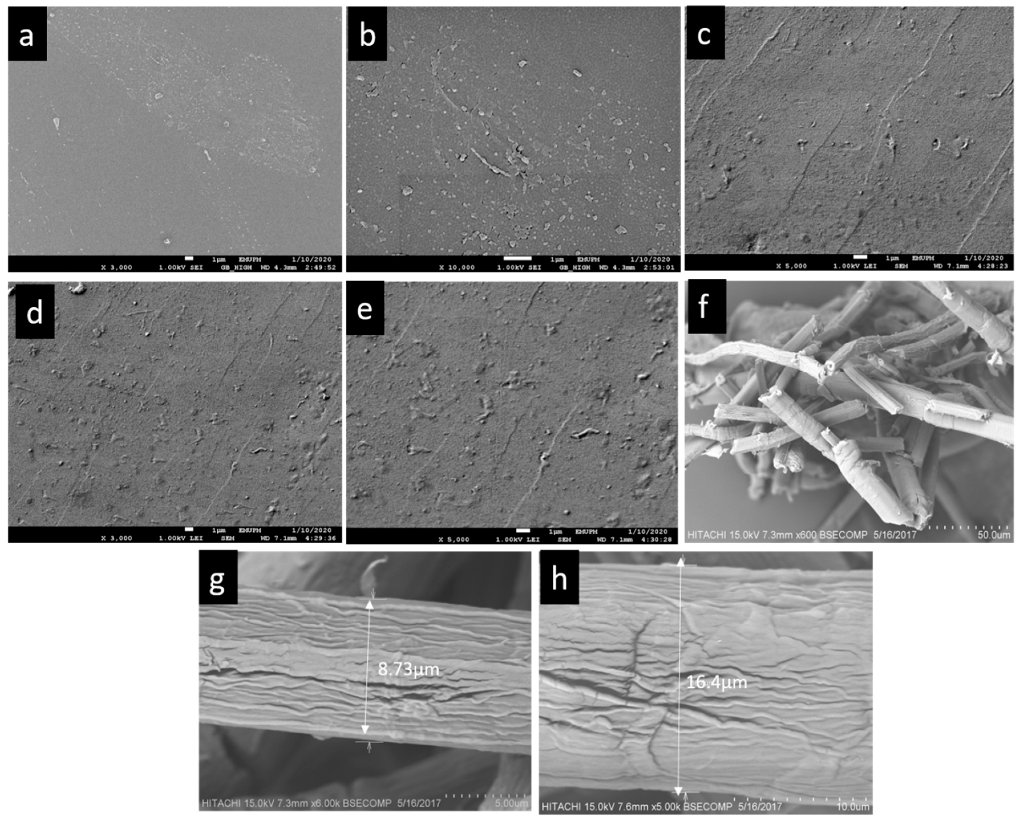 Polymers 13 00465 g001
