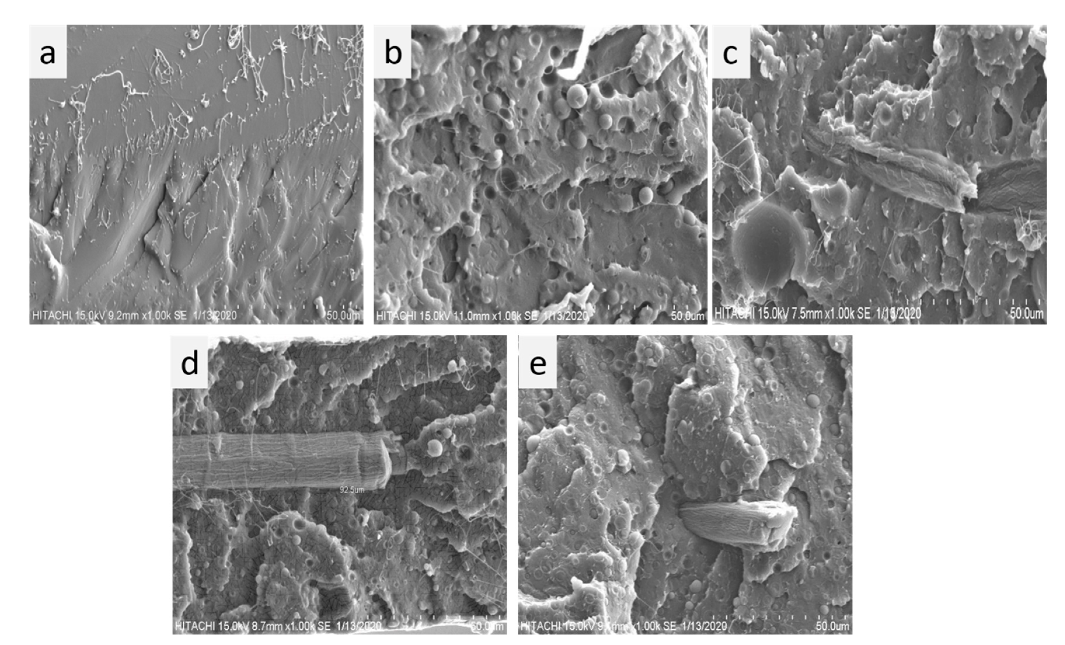 Polymers 13 00465 g009