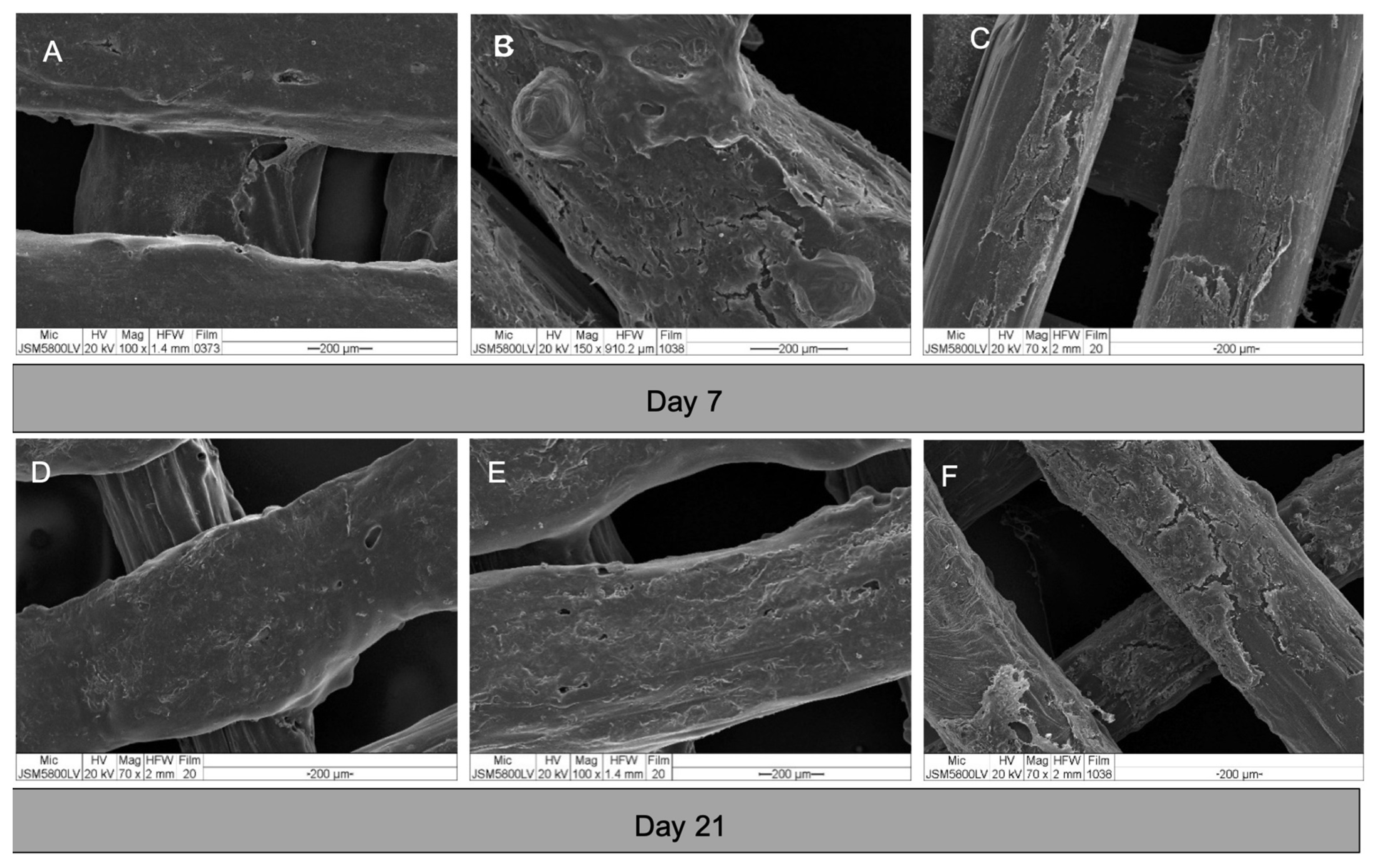 Polymers 13 00466 g007 Polymers 13 00466 g007