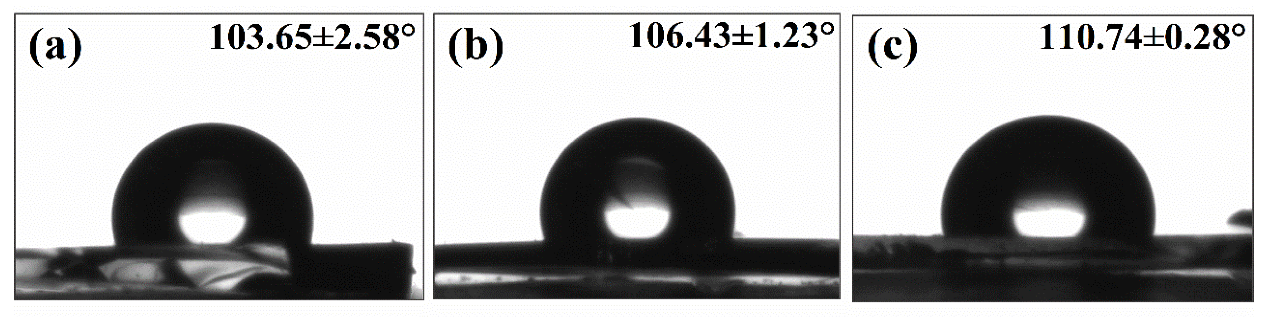 Polymers 13 00467 g006