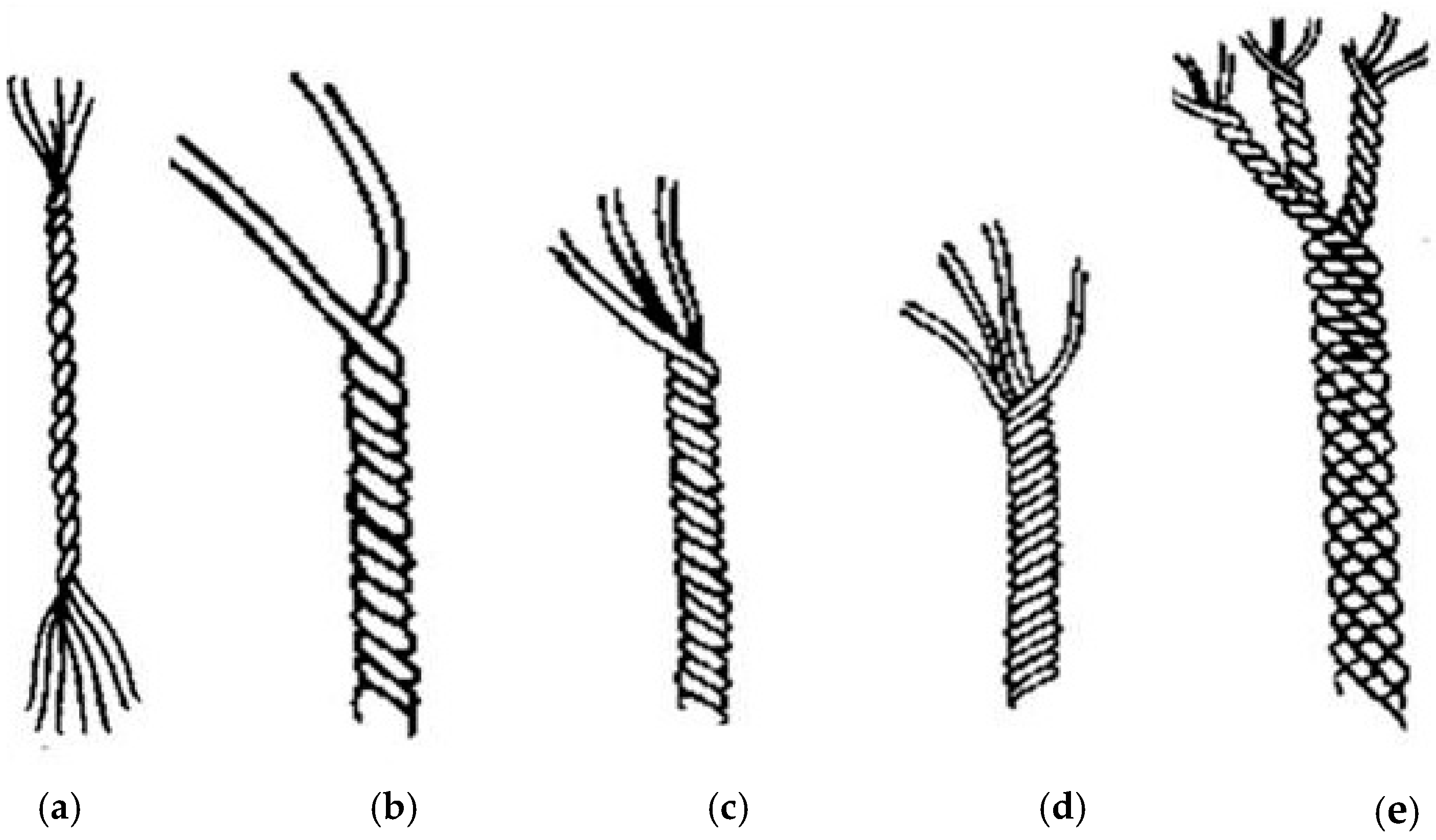 Polymers 13 00471 g002
