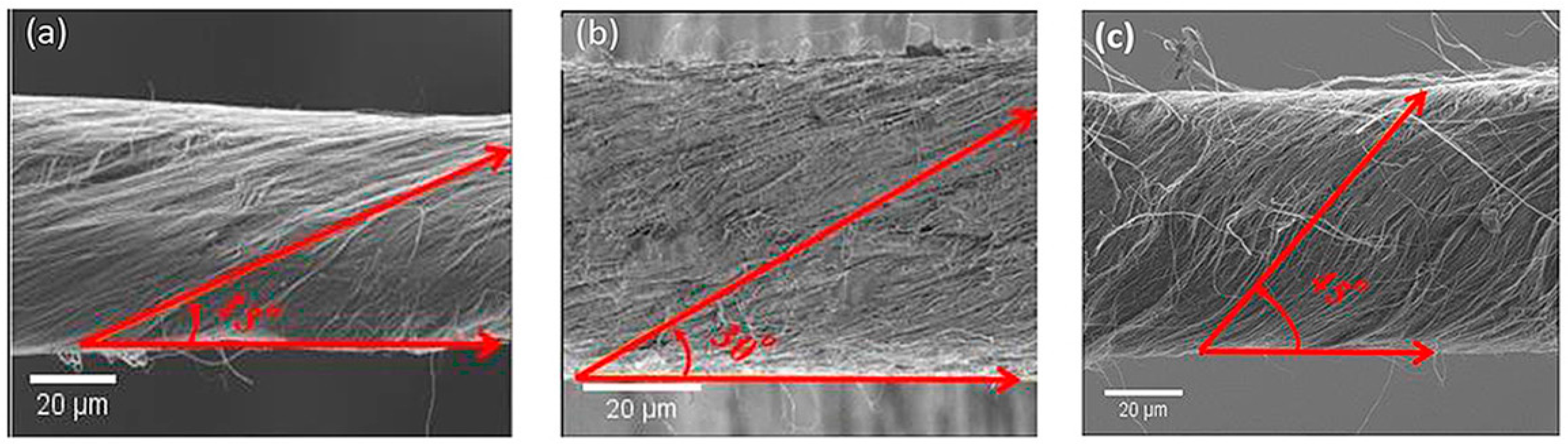 Polymers 13 00471 g005