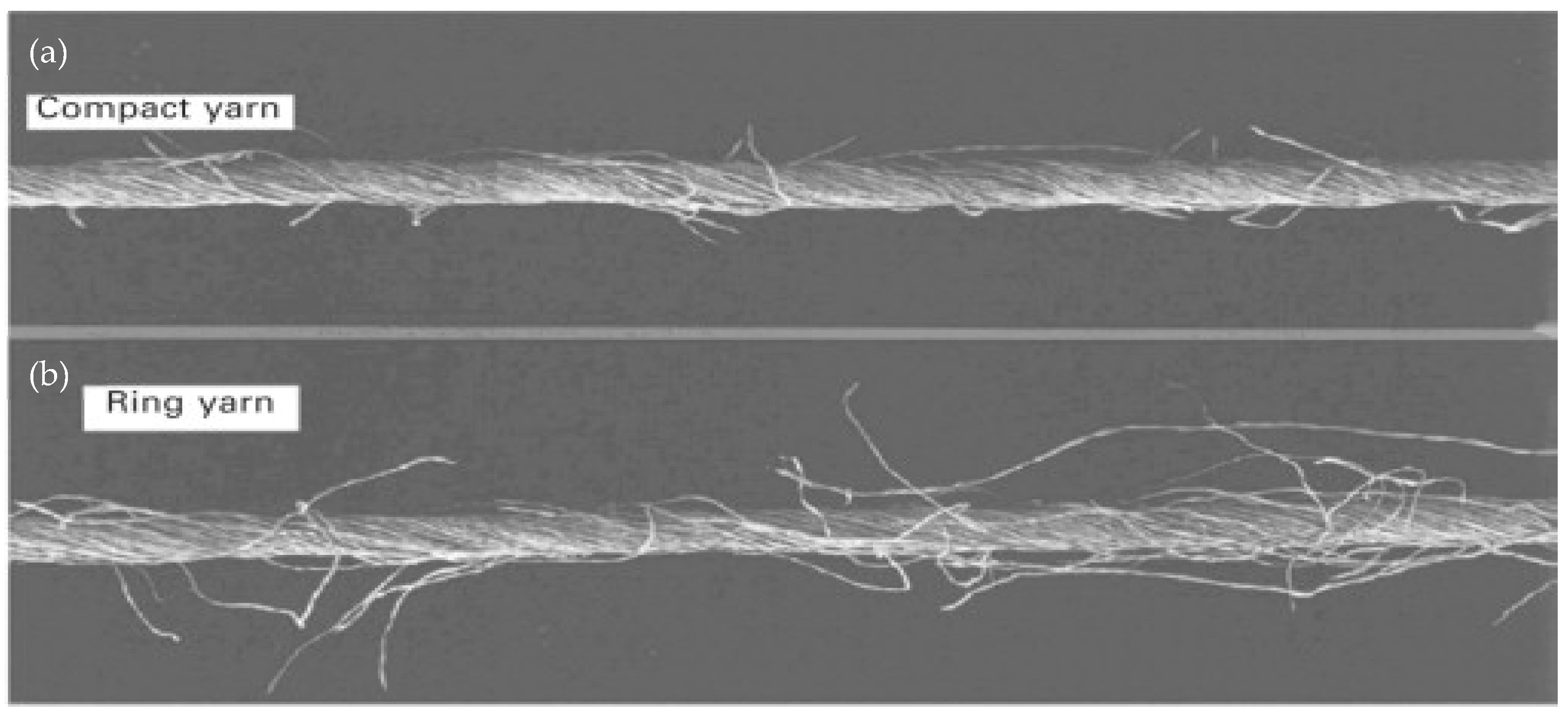 Polymers 13 00471 g006