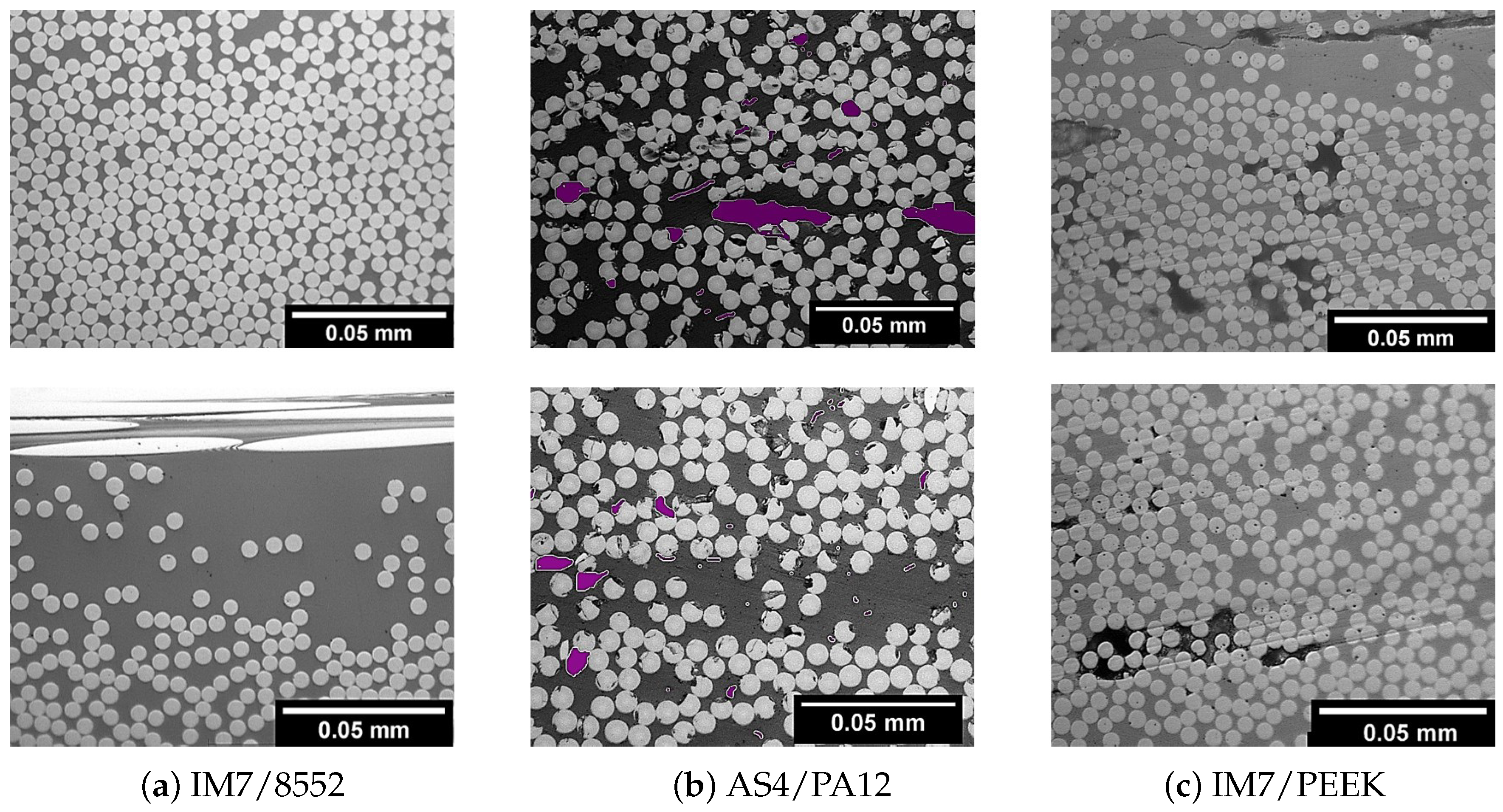Polymers 13 00473 g002 Polymers 13 00473 g002