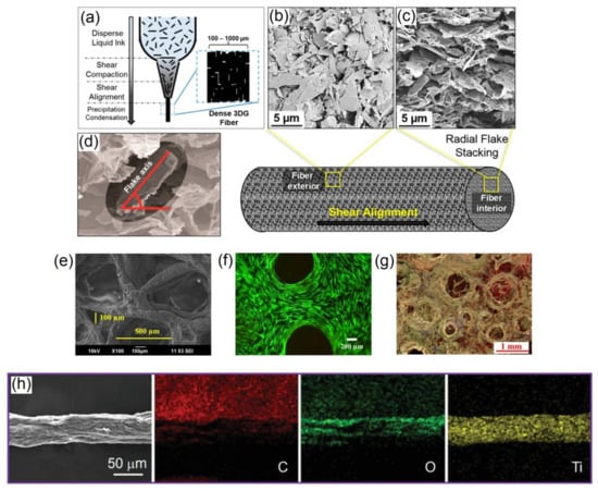 Polymers 13 00474 g006