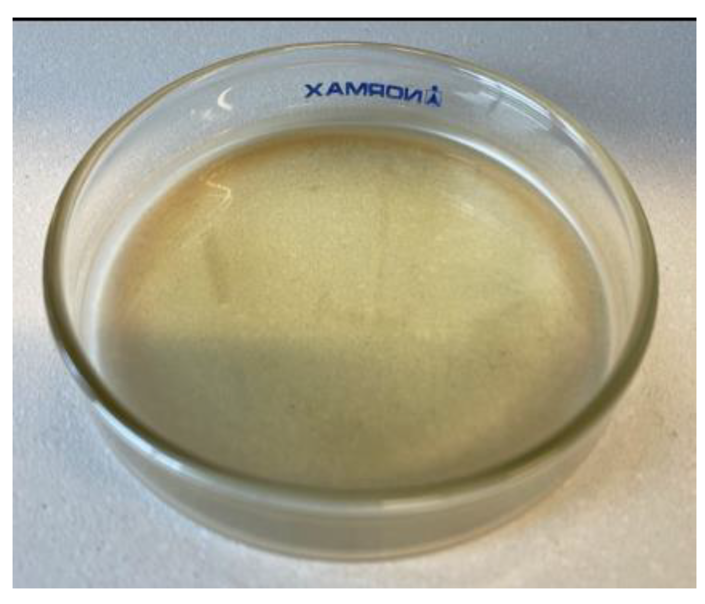 Polymers 13 00475 g001