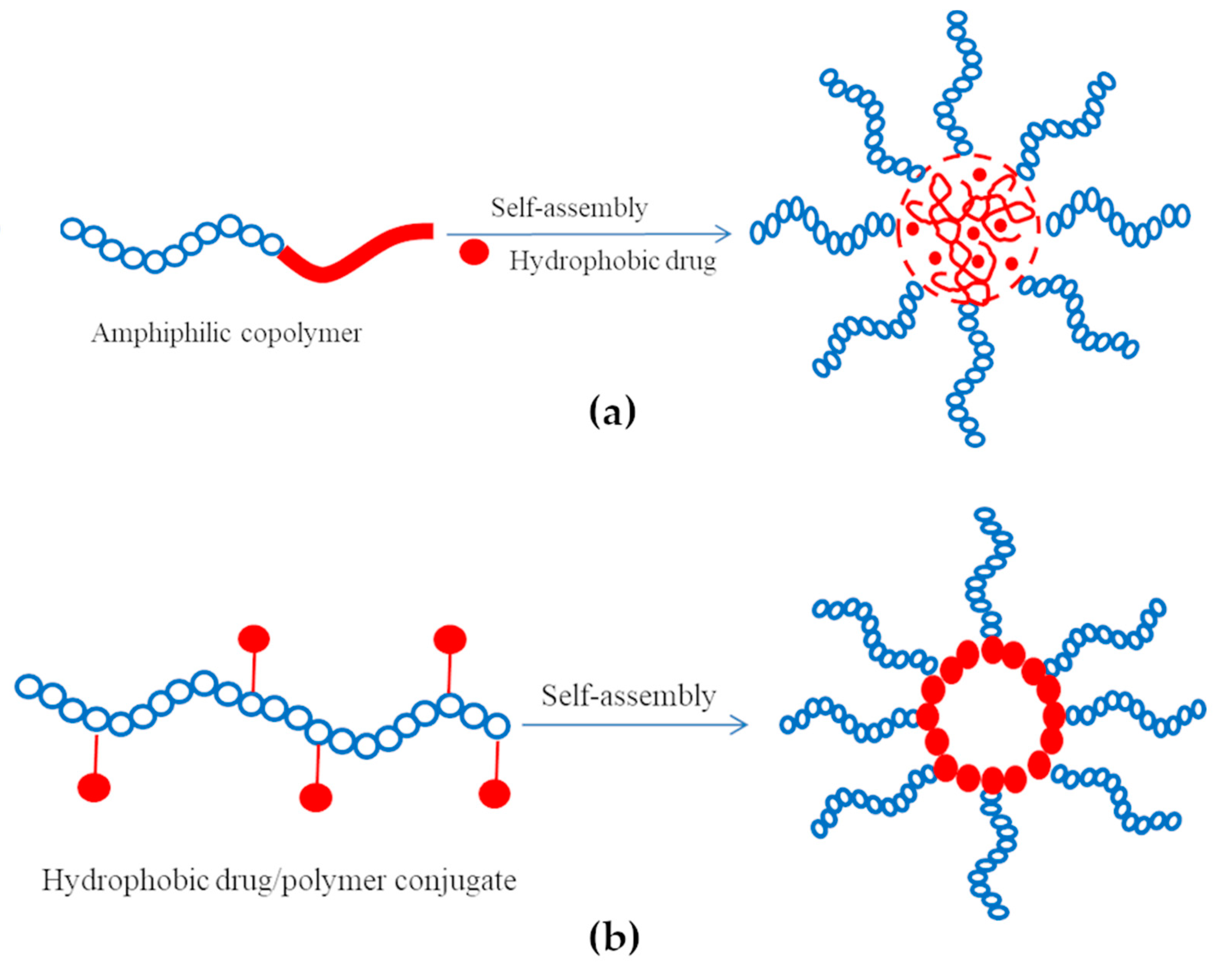 Polymers 13 00477 g004