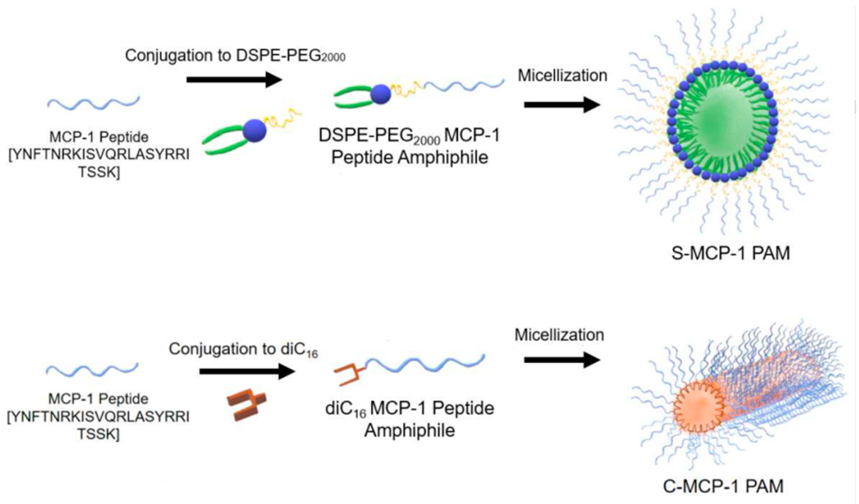 Polymers 13 00477 g014