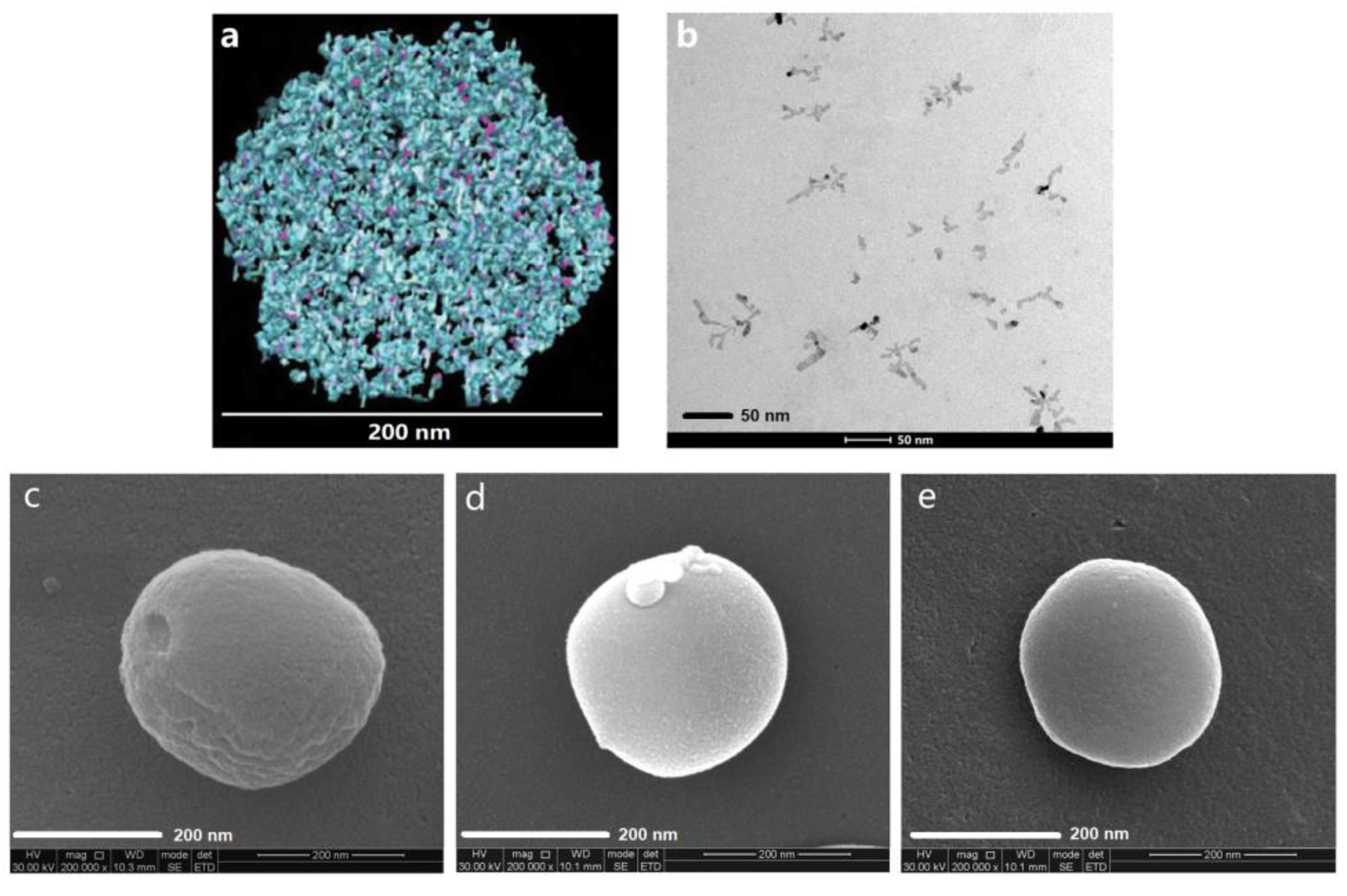 Polymers 13 00477 g015