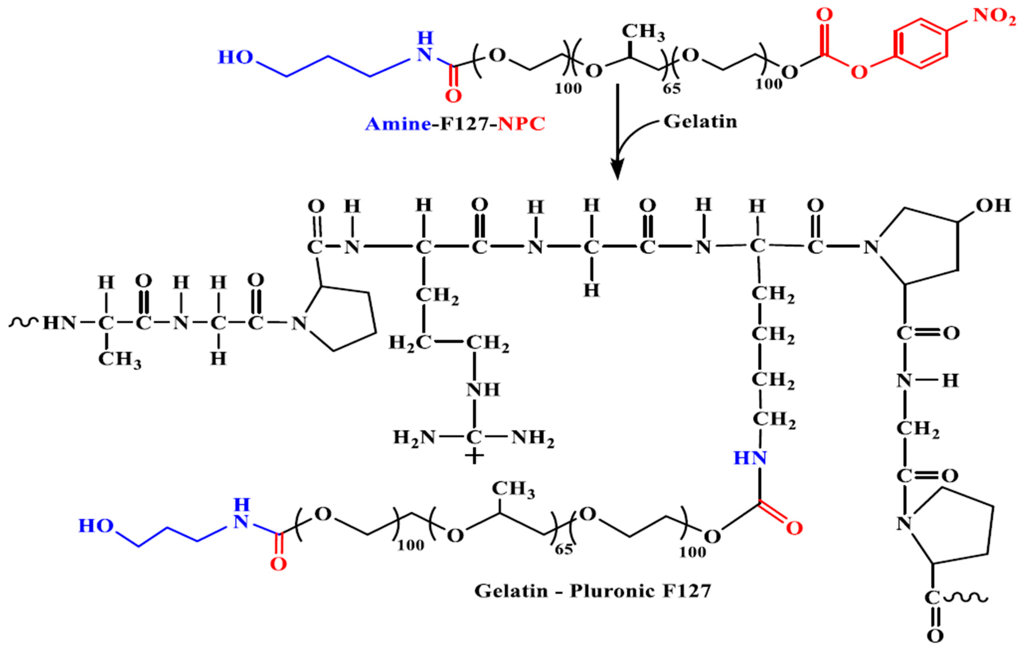 Polymers 13 00477 g016