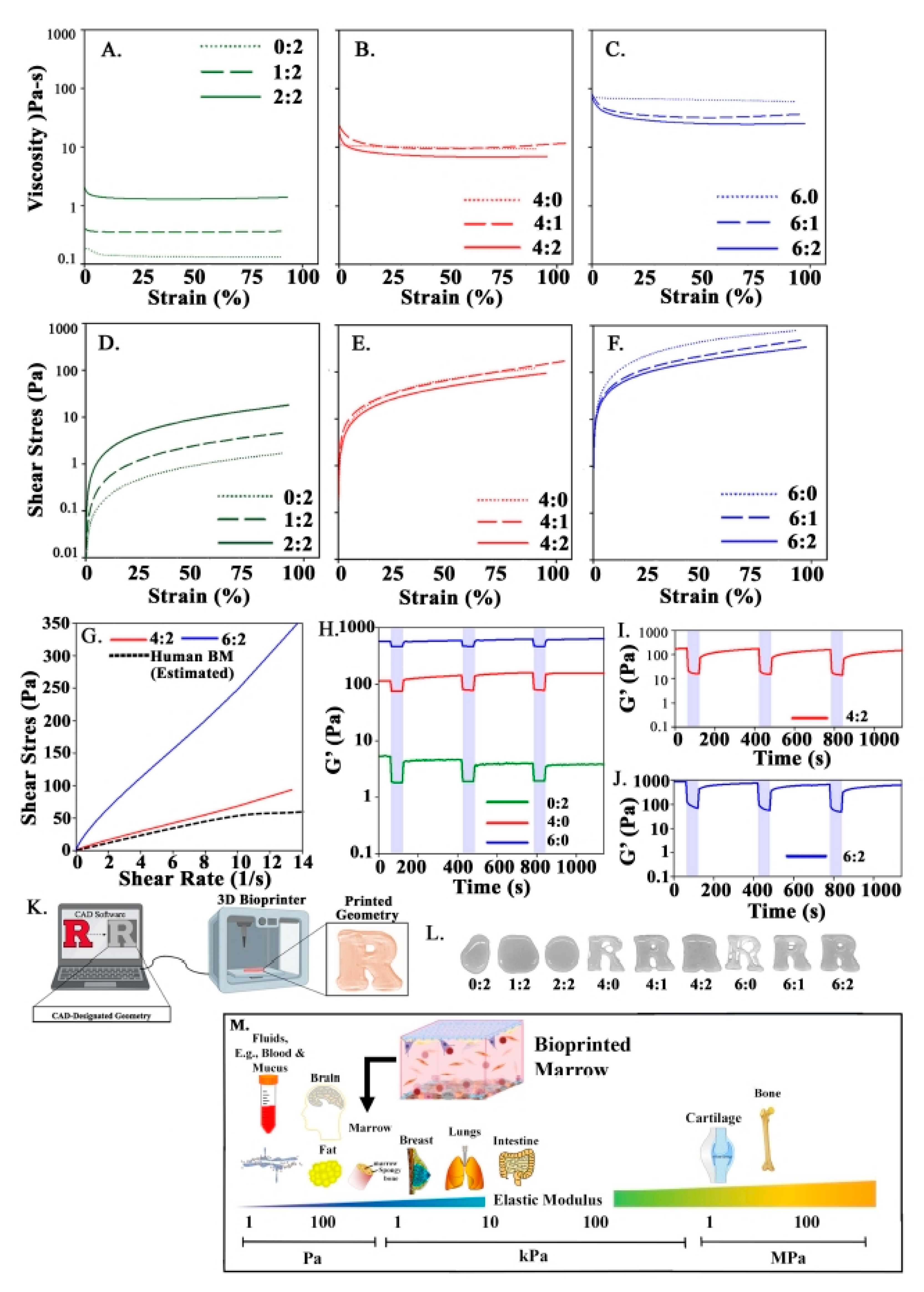 Polymers 13 00480 g001