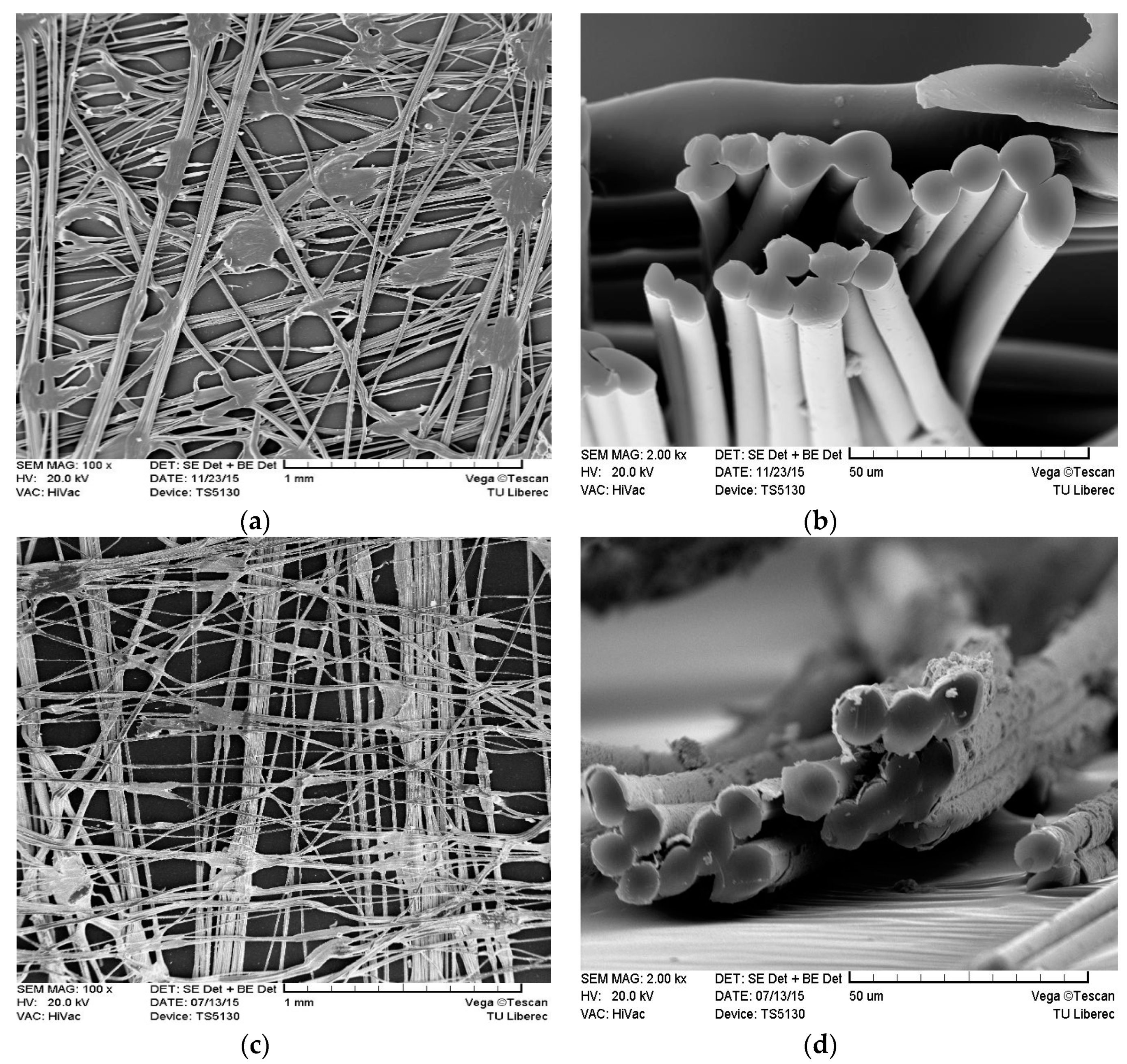 Polymers 13 00484 g001