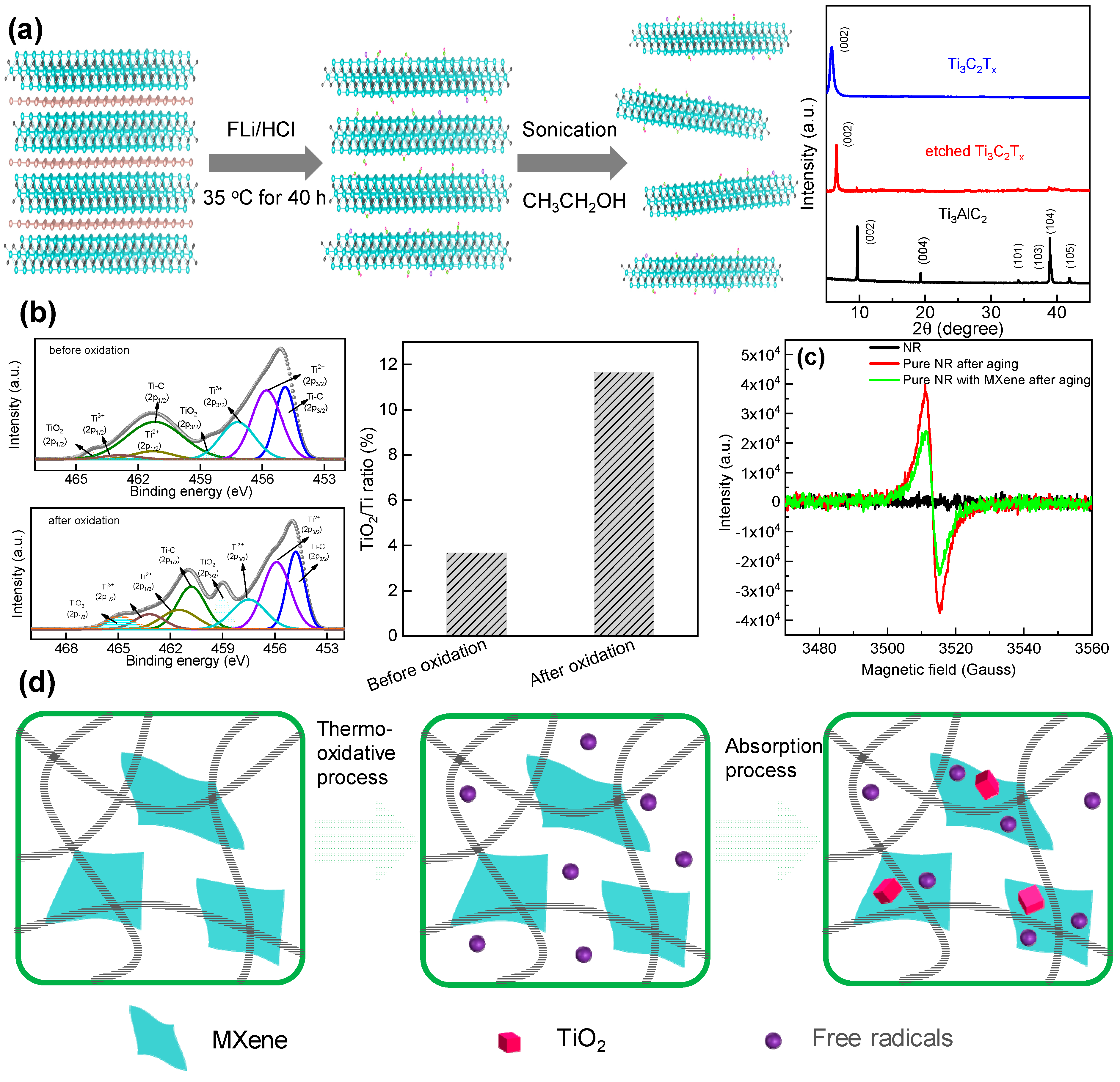 Polymers 13 00493 g001