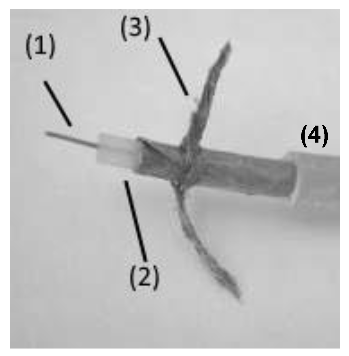 Polymers 13 00494 g001