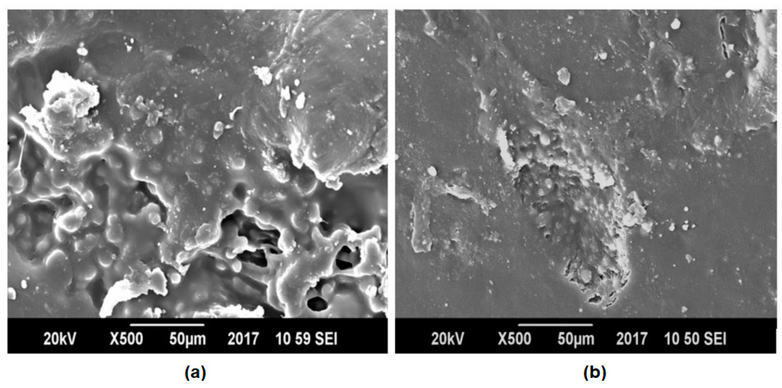 Polymers 13 00495 g010