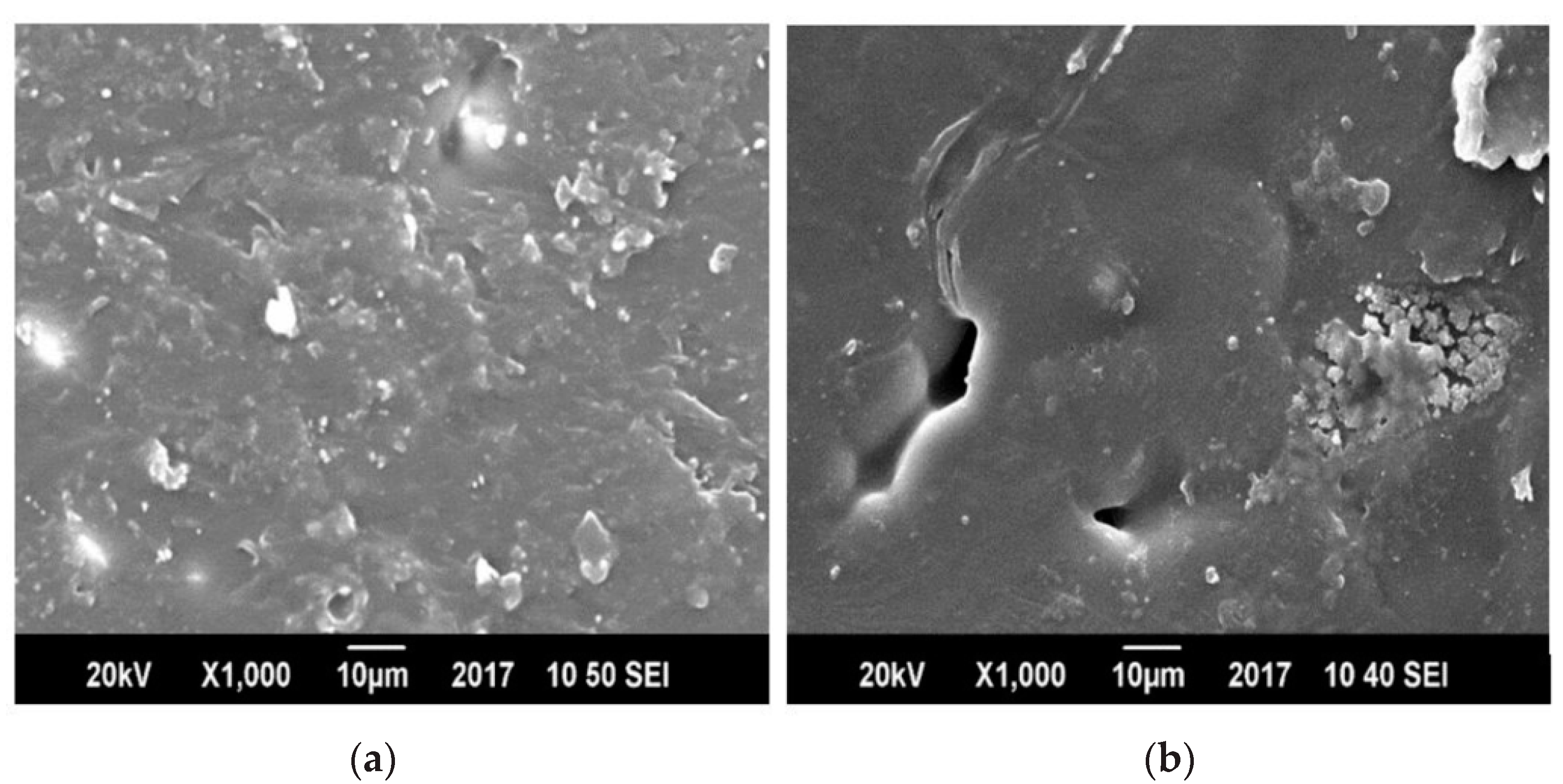 Polymers 13 00495 g011