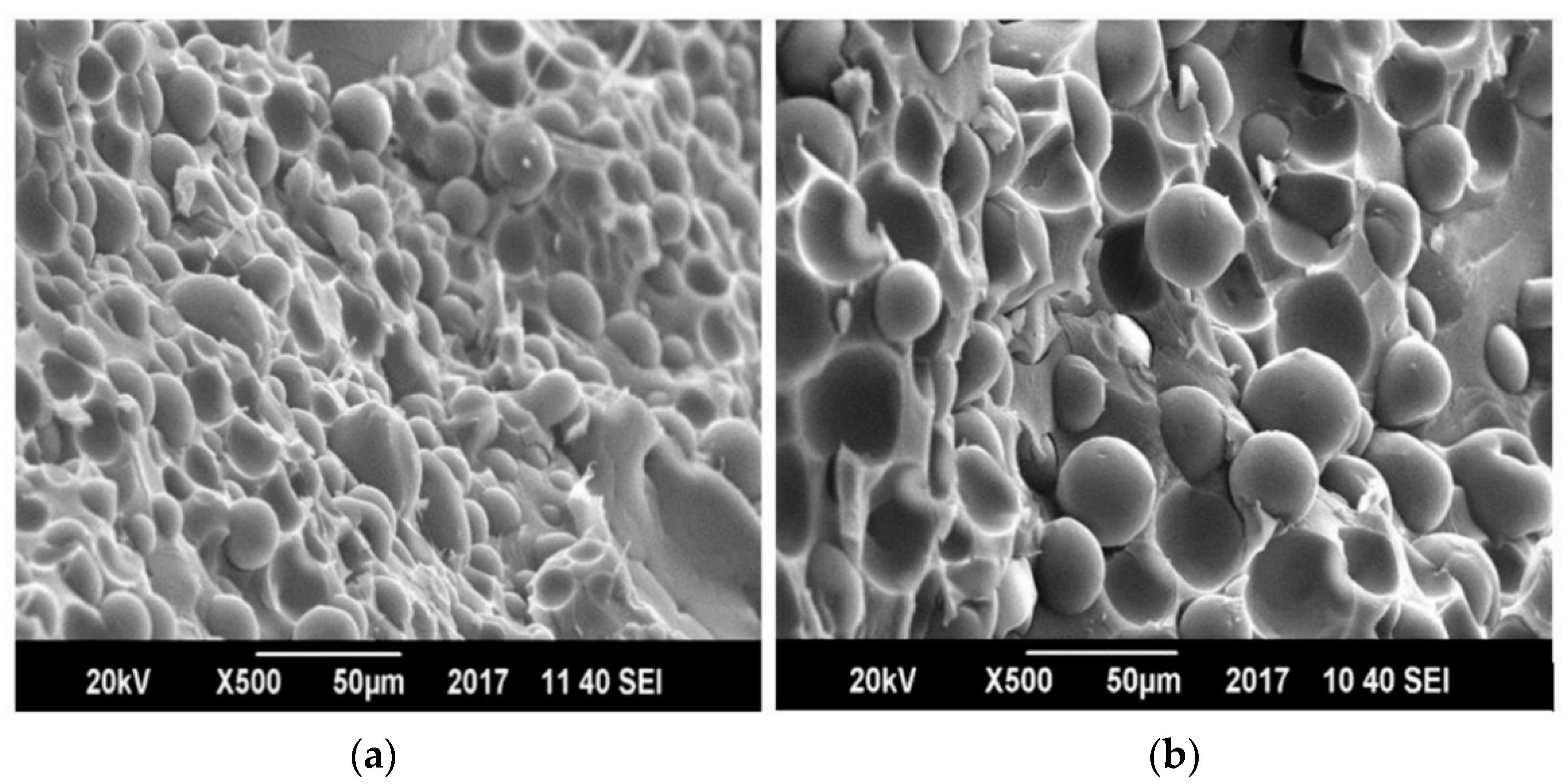 Polymers 13 00495 g012